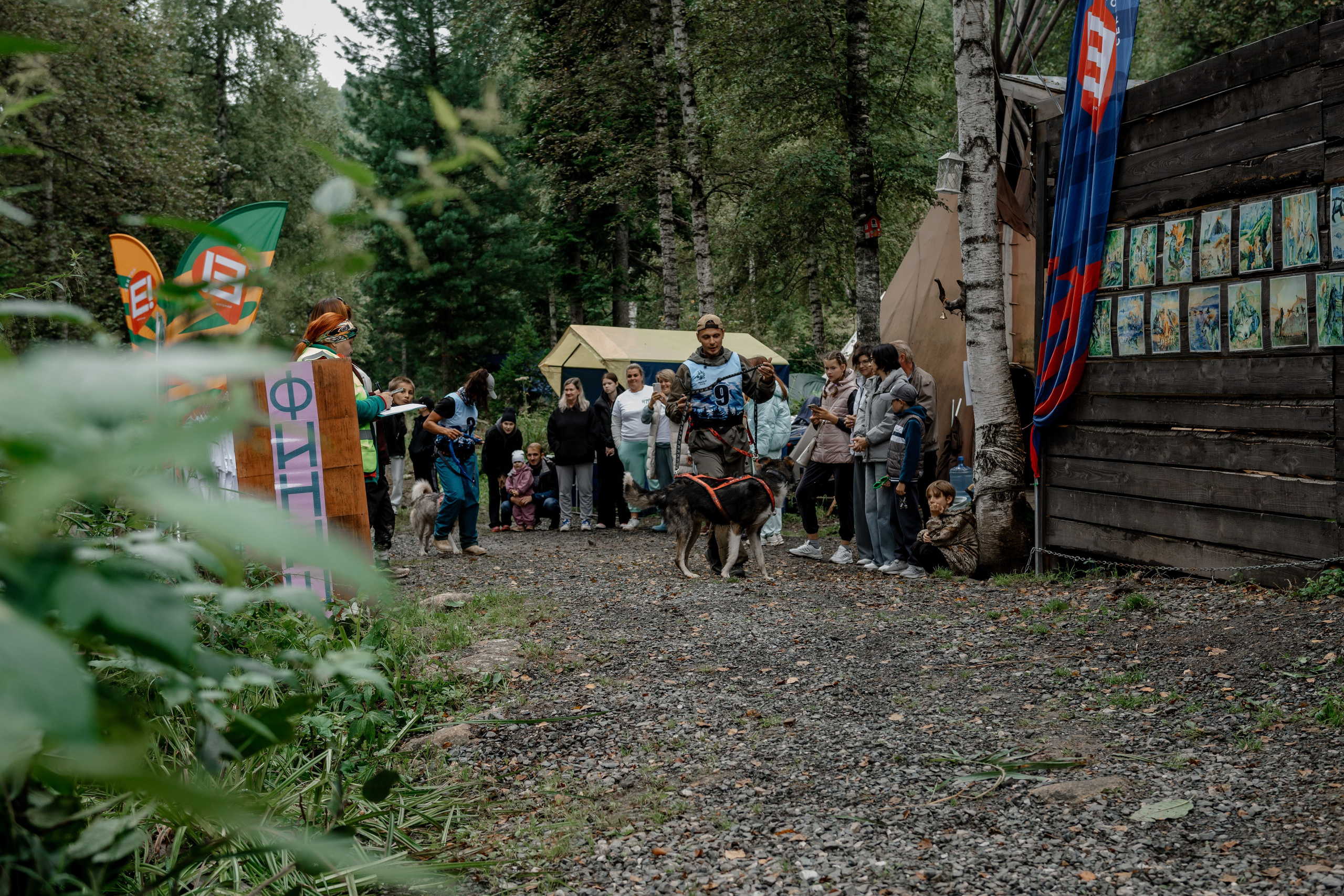 Дог-треккинг