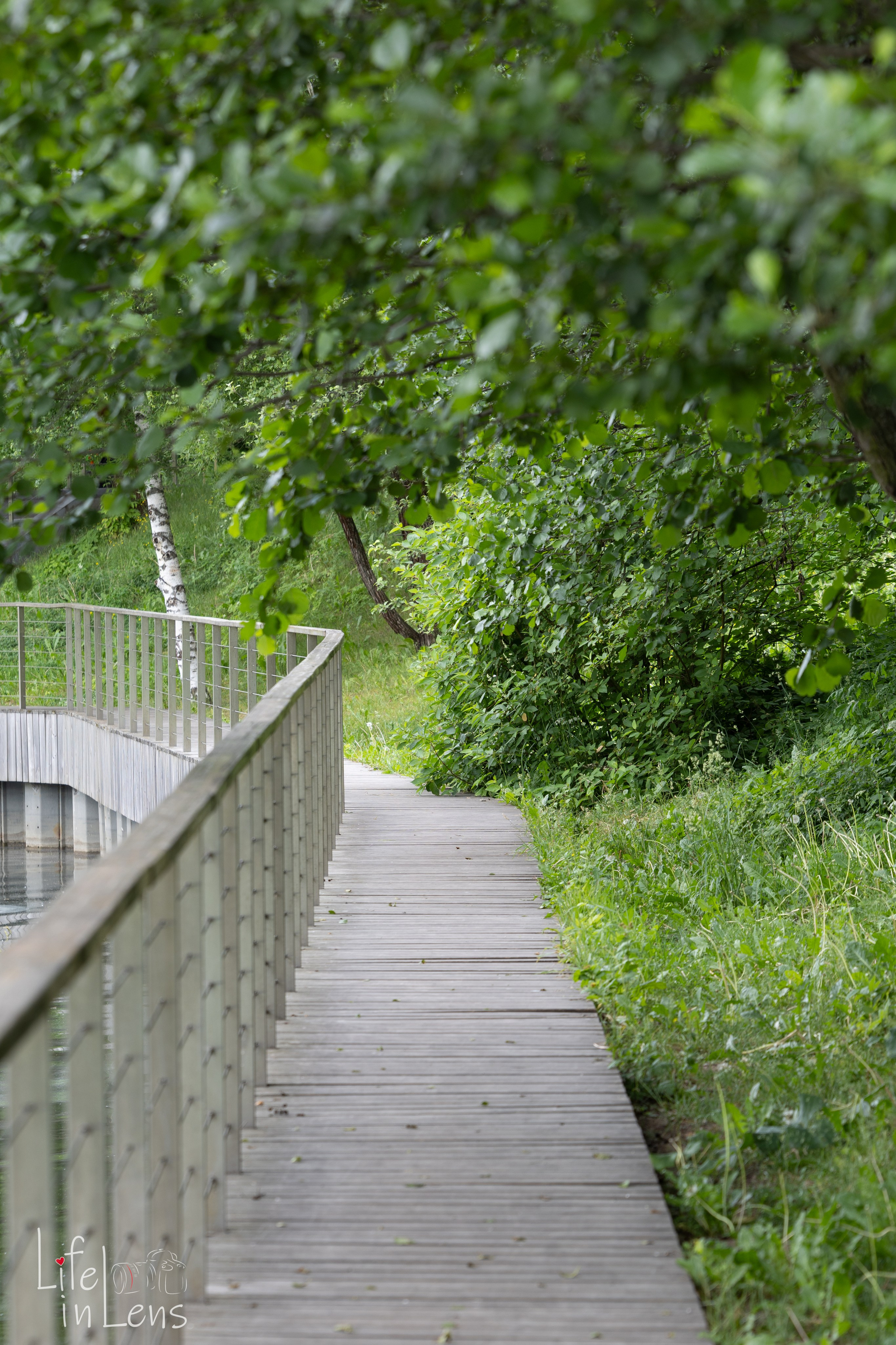 ВДНХ. День России. Фотограф, получающий удовольствие от своей работы