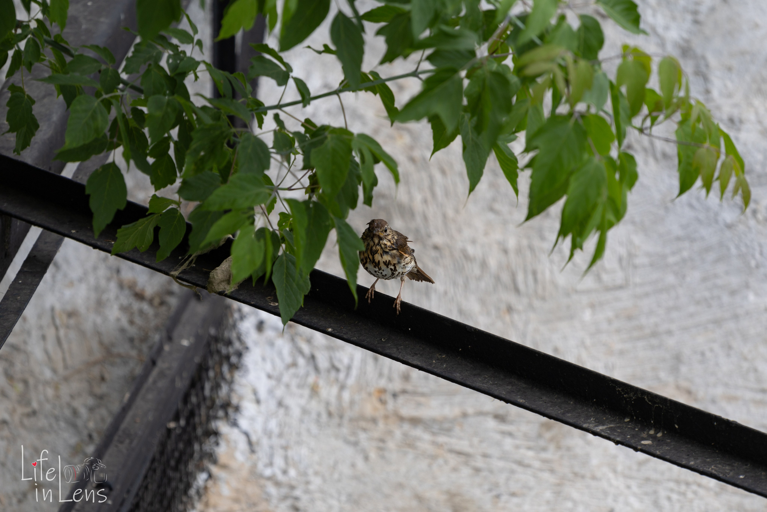 Парк Кузьминки. Фотограф, получающий удовольствие от своей работы