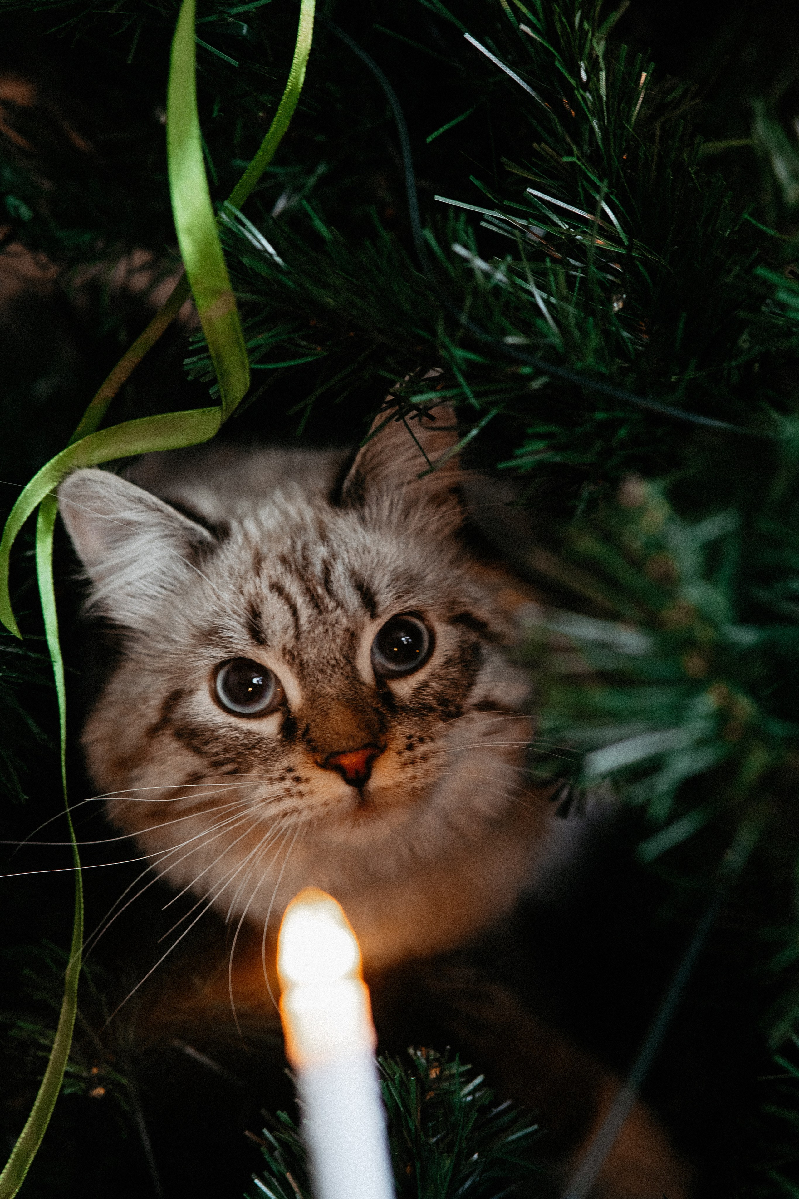 Влад и Ксюша. Свадебный фотограф Челябинск Зиненко Виктория