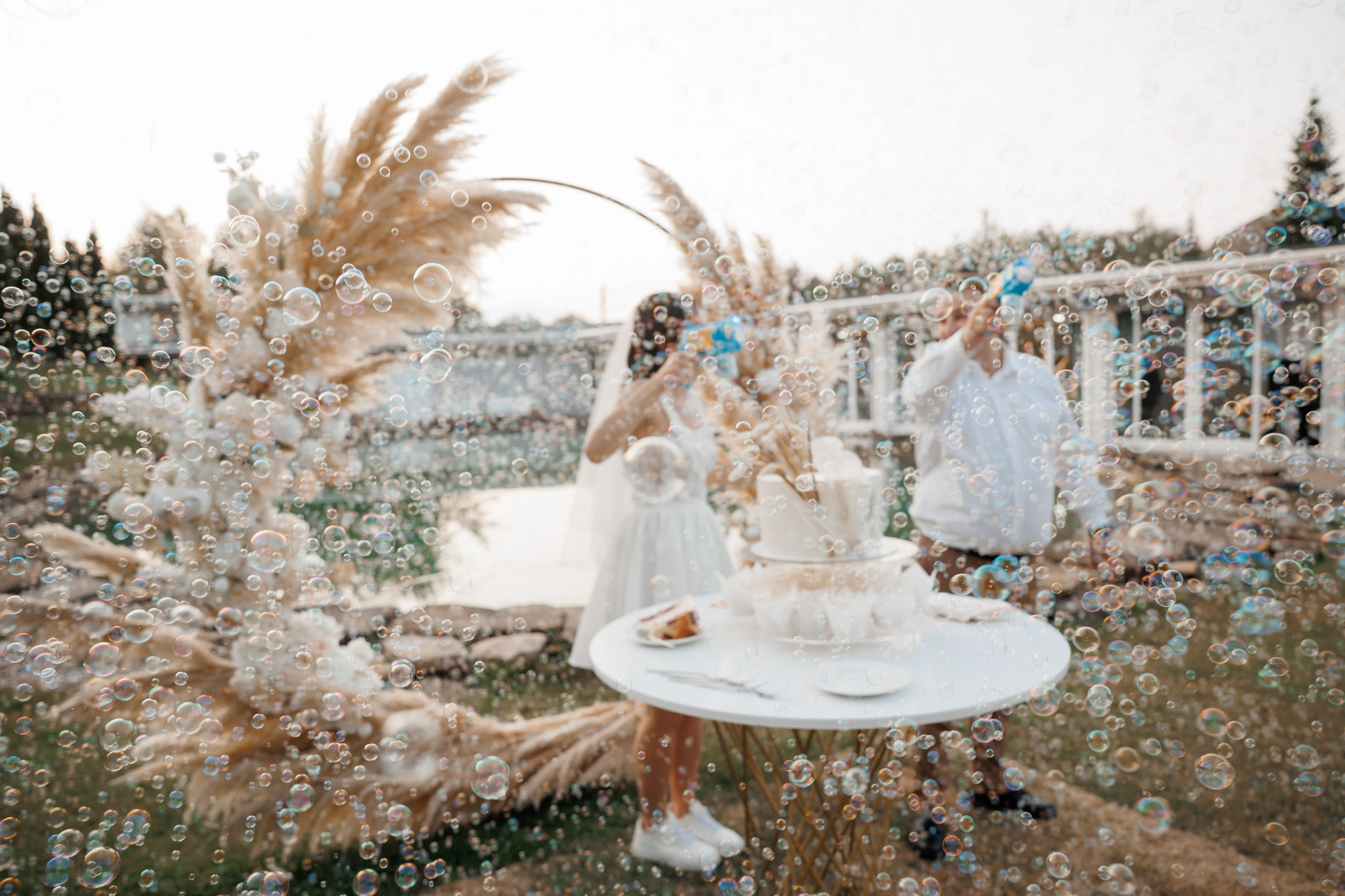 Дворянское гнездо, ЗАГС г. Королев, банкет в Аркобалено (Villa Arkobaleno). Свадебный и репортажный фотограф (Москва, Королев и другие)