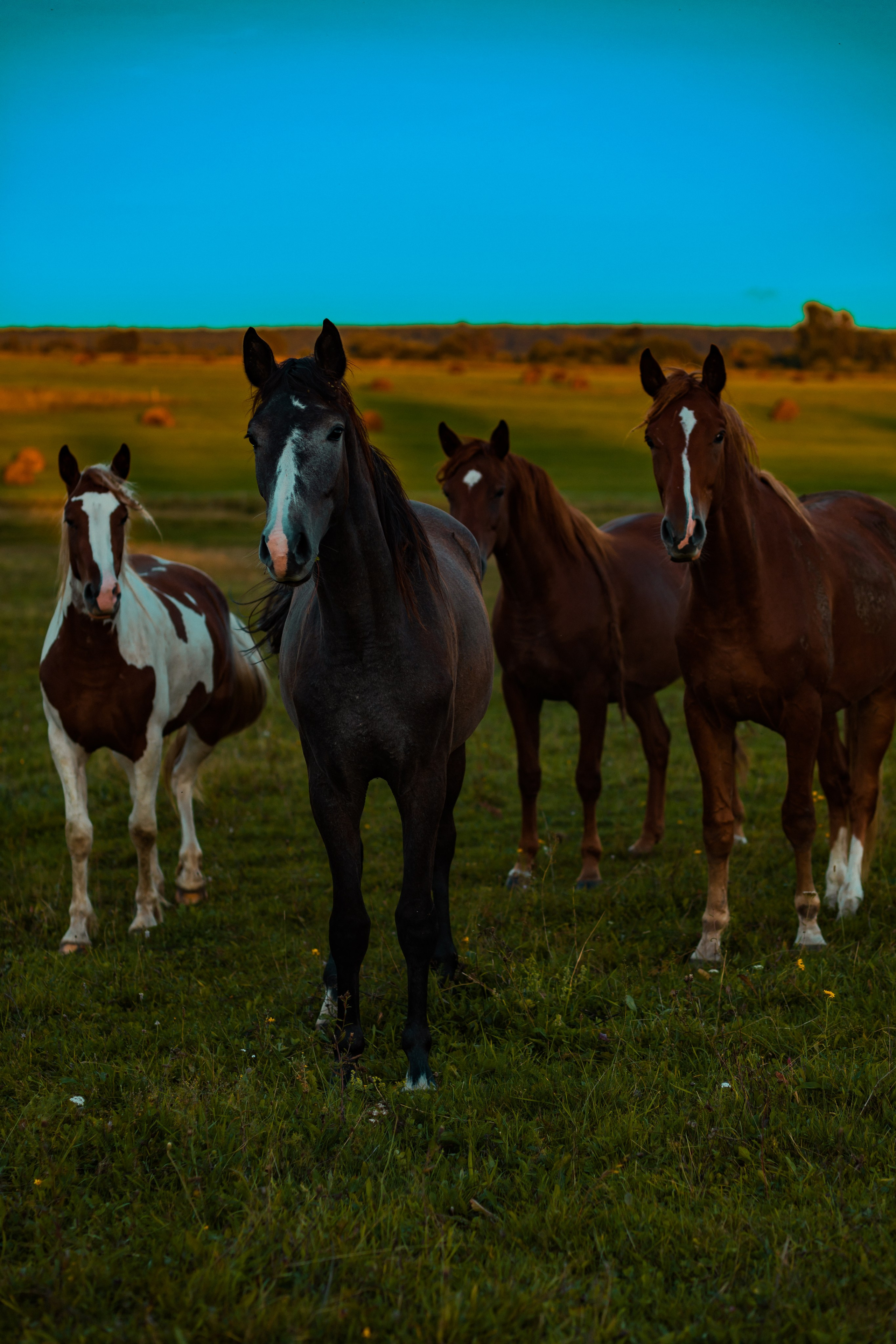 Деревня Мишнево | Калужская область. Папка кадров 📁