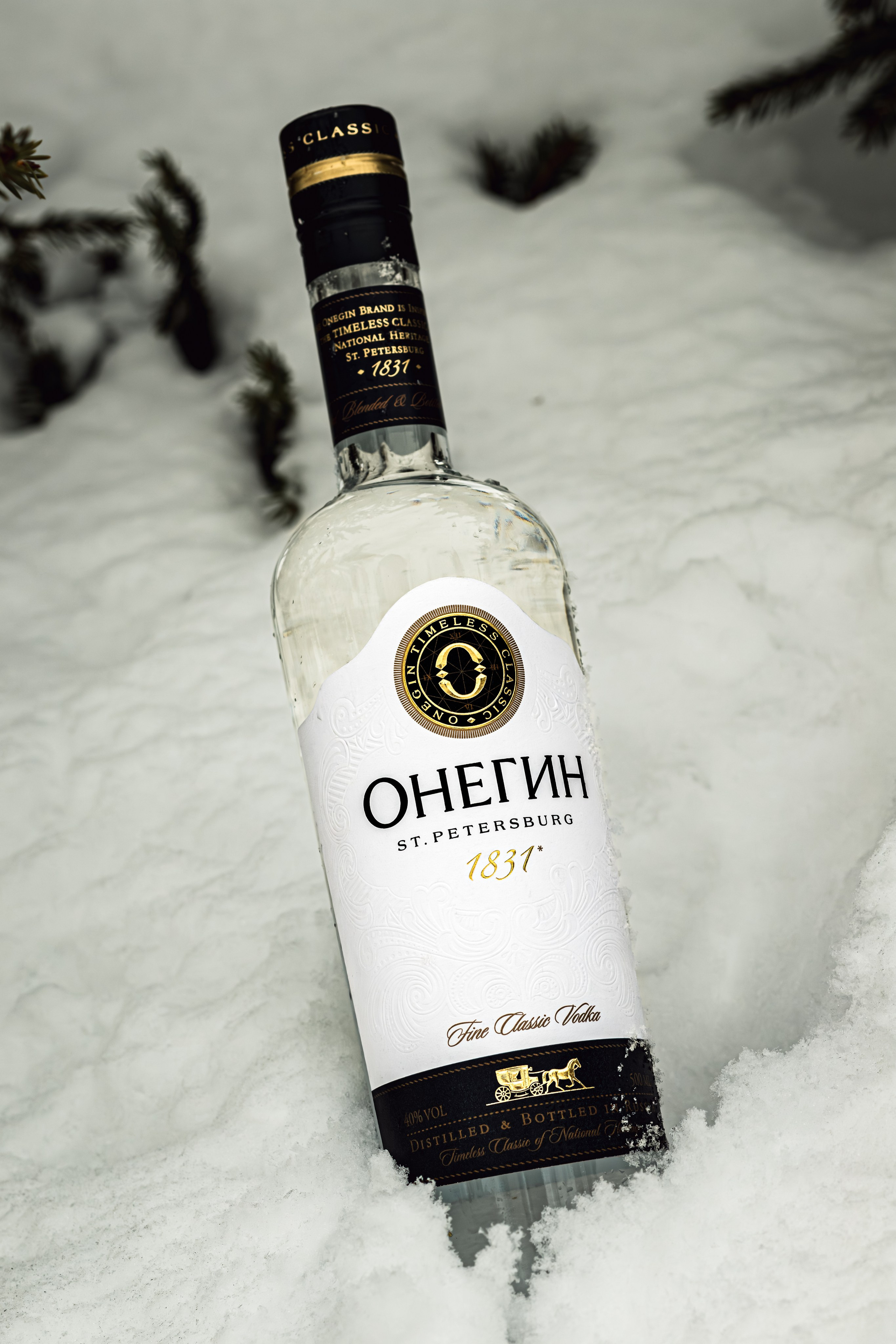 Онегин. Фотограф Николай Шевченко