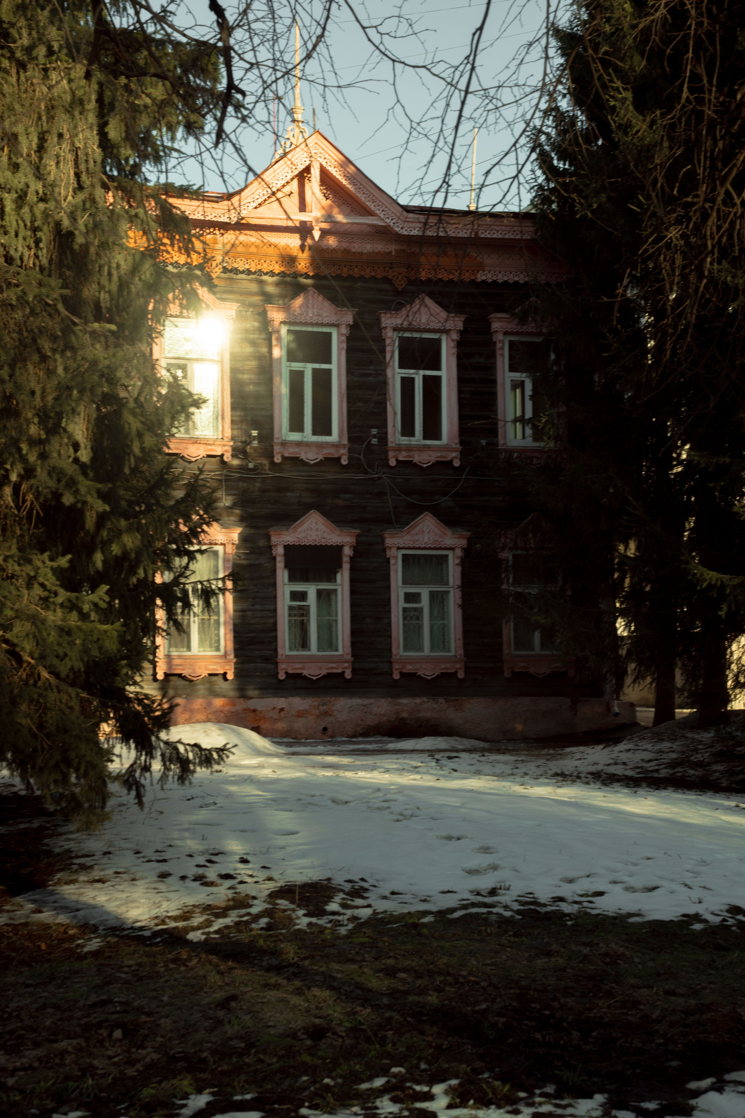 Природа. Александра Панина фотограф, портрет, семья, бизнес, Новосибирск