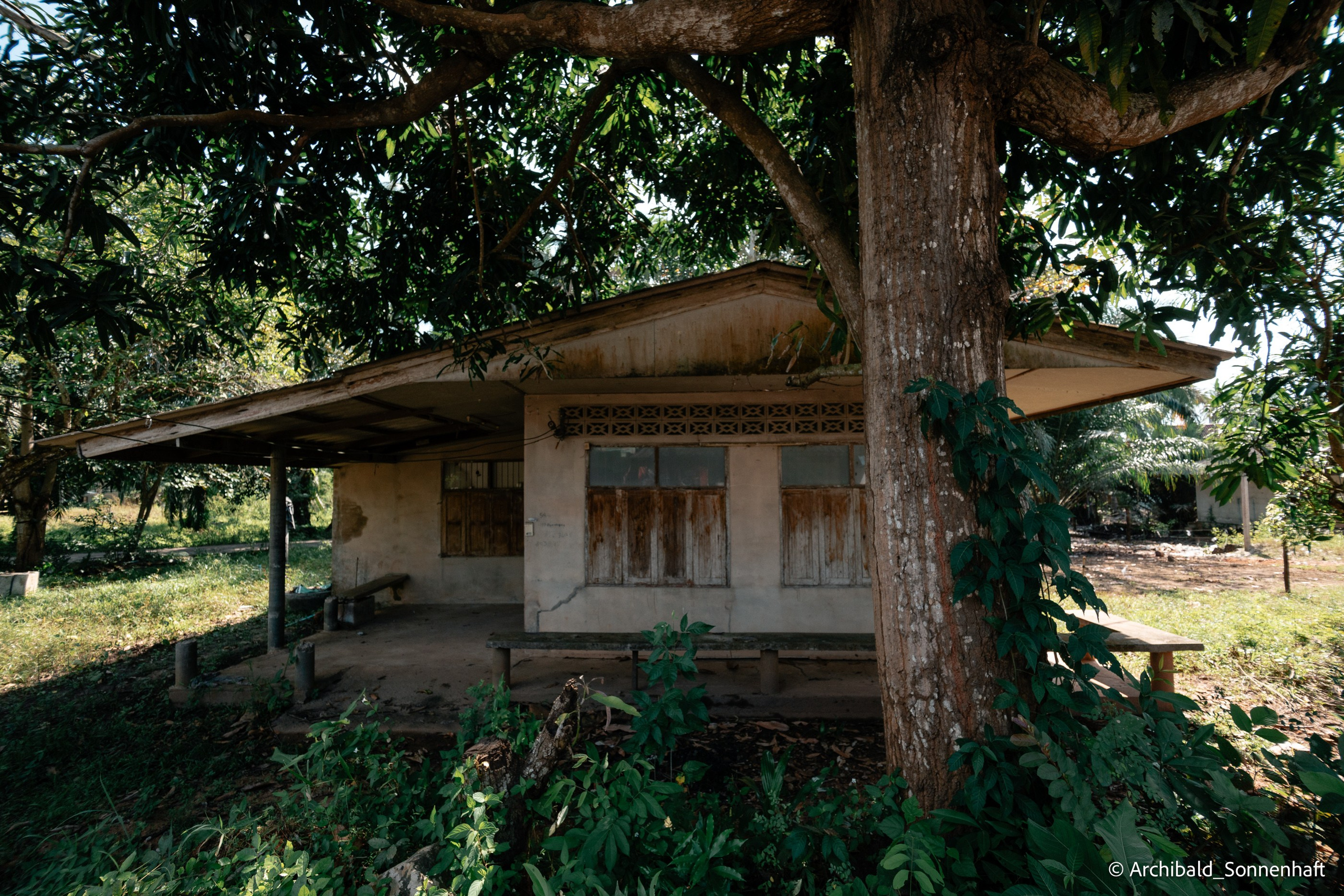 Thai monk. Photographer in Guangzhou, China. Archibald Sonnenhaft