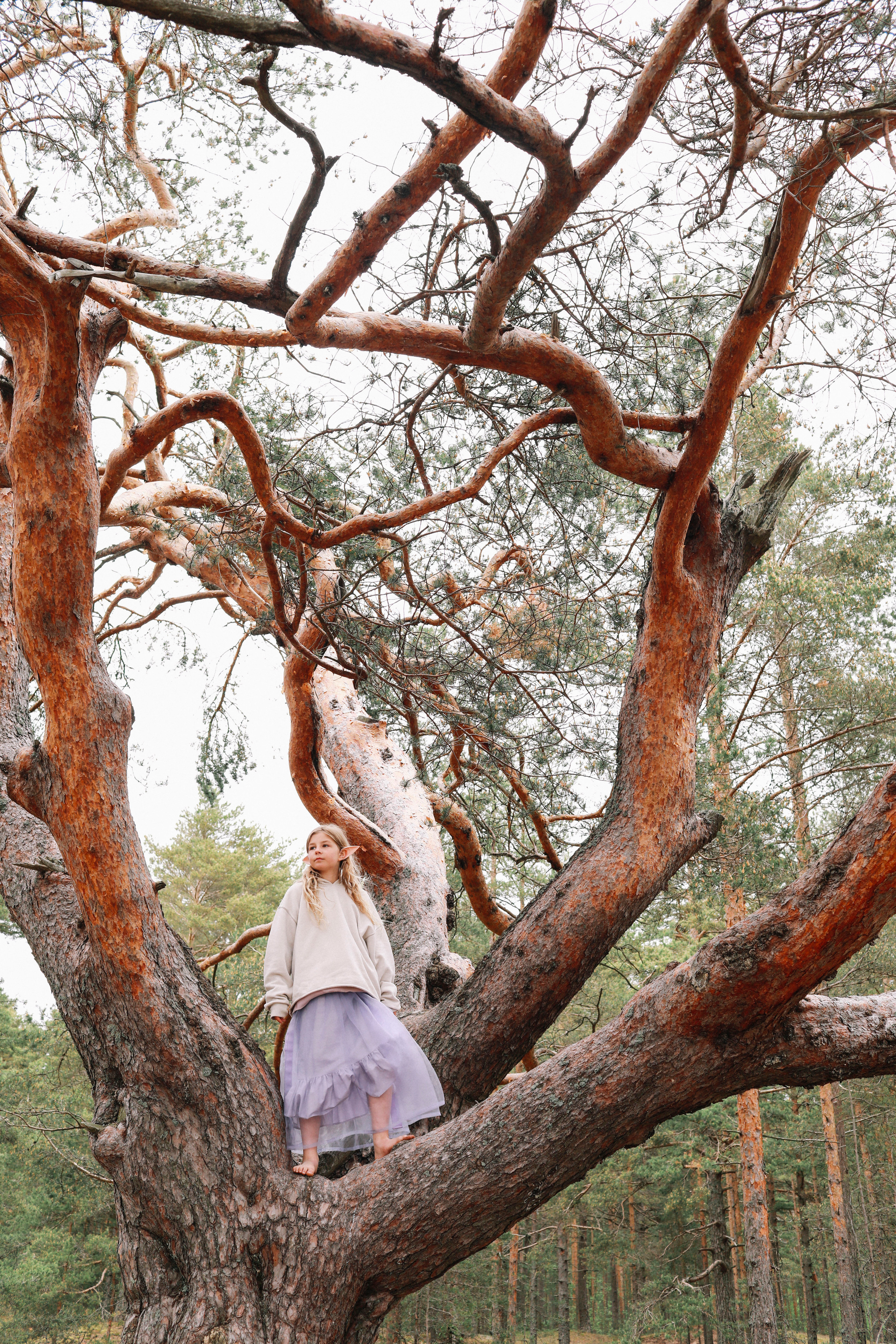 Лиза. Фотограф в Москве Шаганова Нина