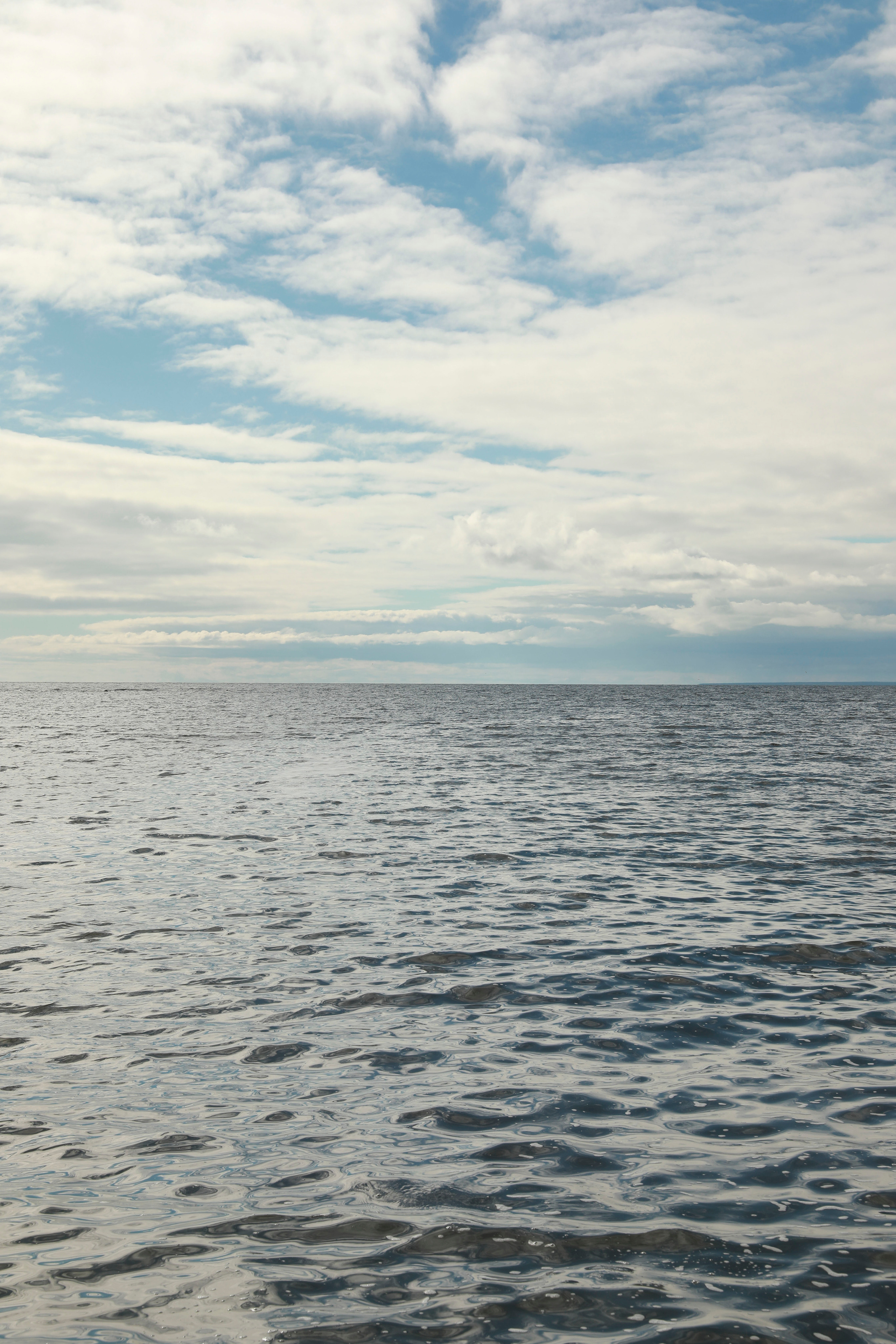 Прогулка по побережью Финского залива. Фотограф в Москве Шаганова Нина