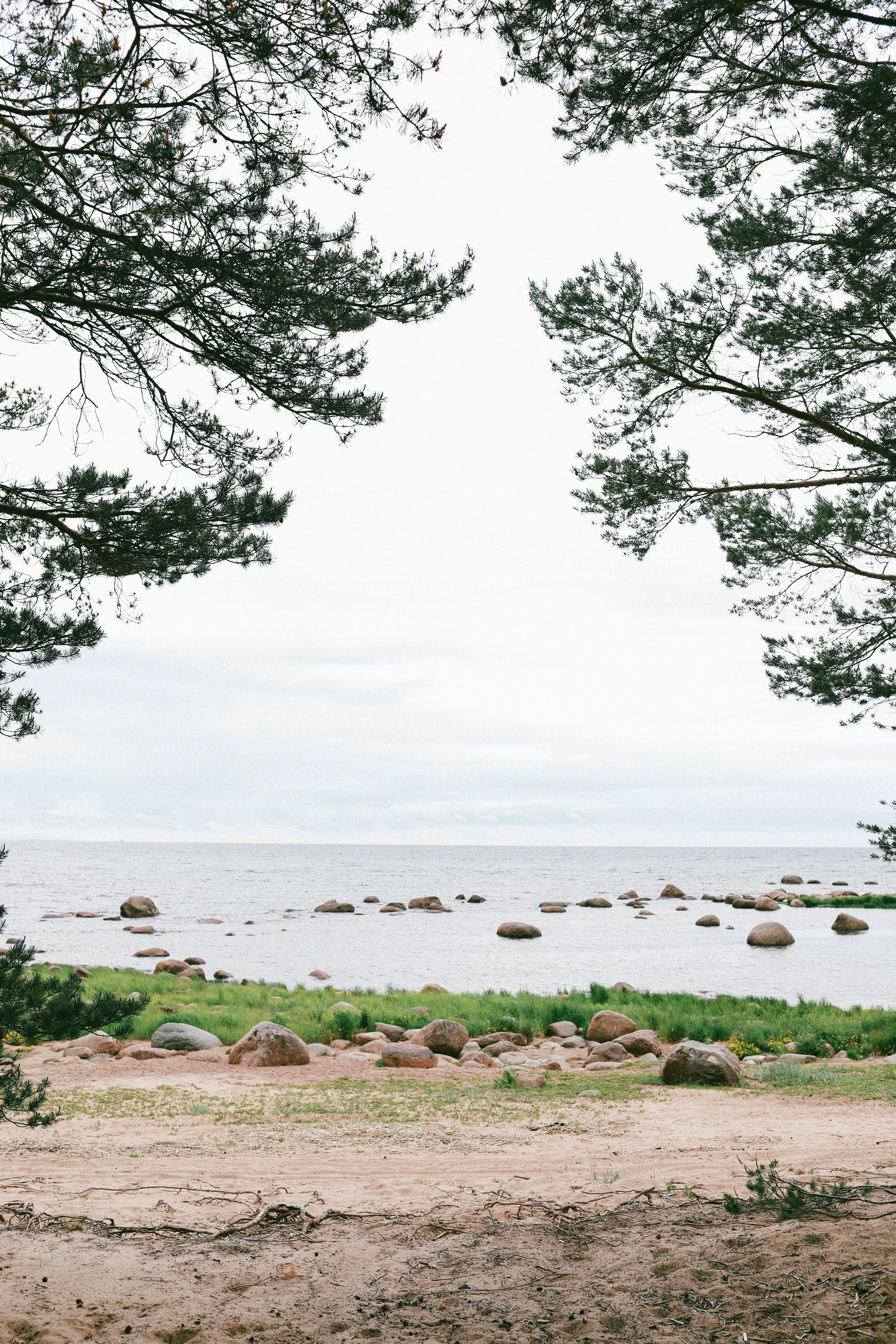 Прогулка по побережью Финского залива. Фотограф в Москве Шаганова Нина