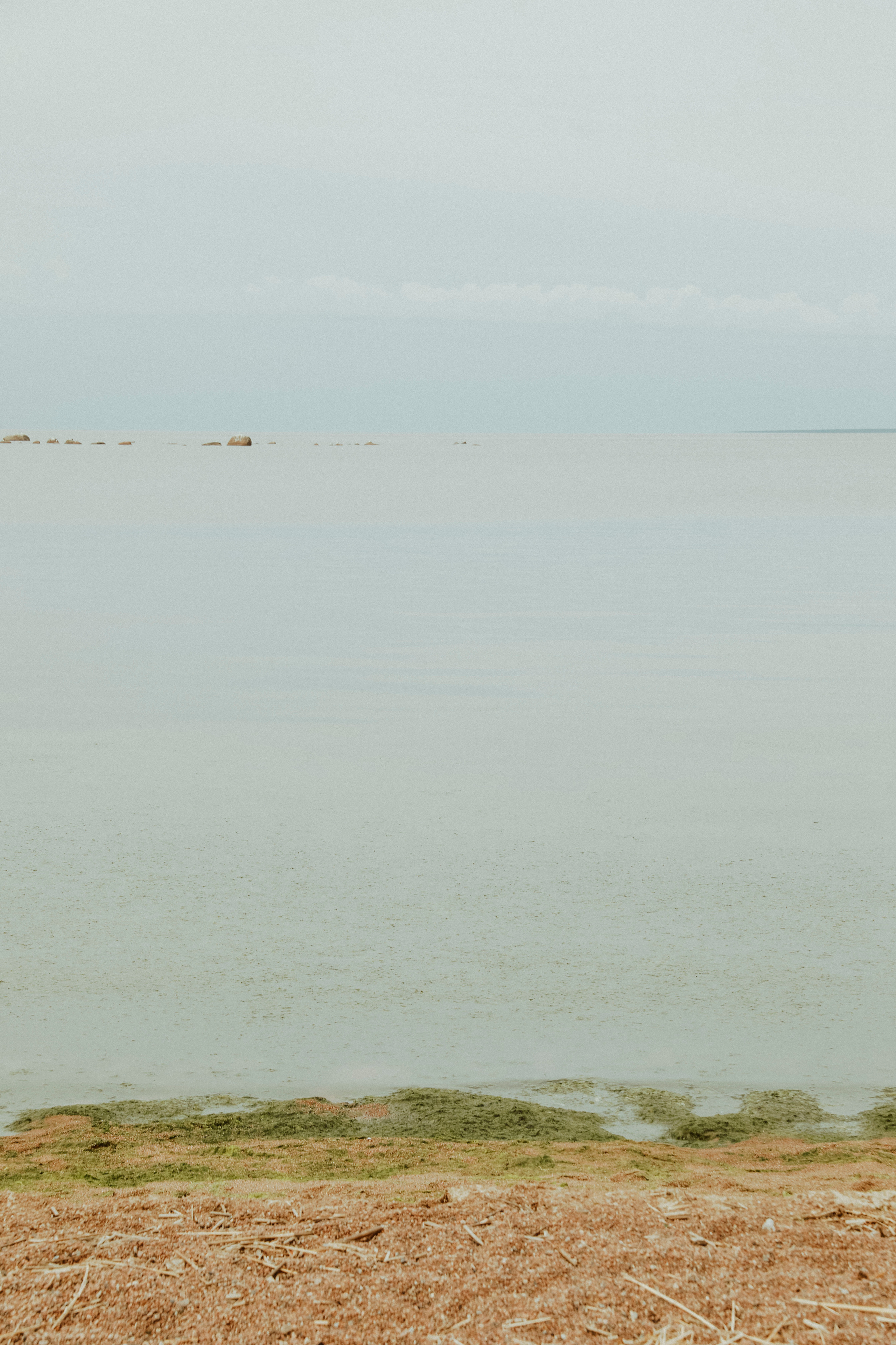 Прогулка по побережью Финского залива. Фотограф в Москве Шаганова Нина