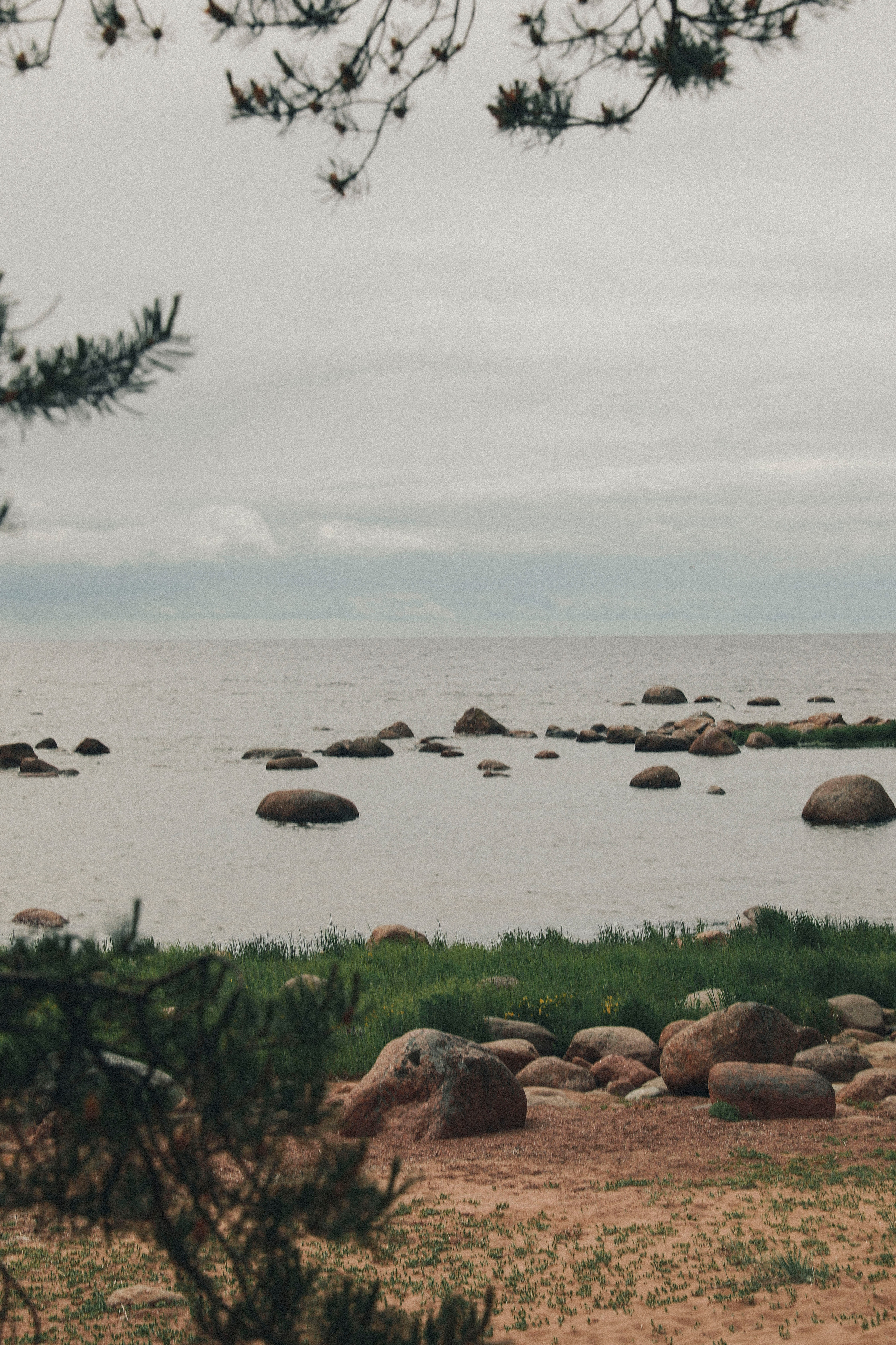 Прогулка по побережью Финского залива. Фотограф в Москве Шаганова Нина