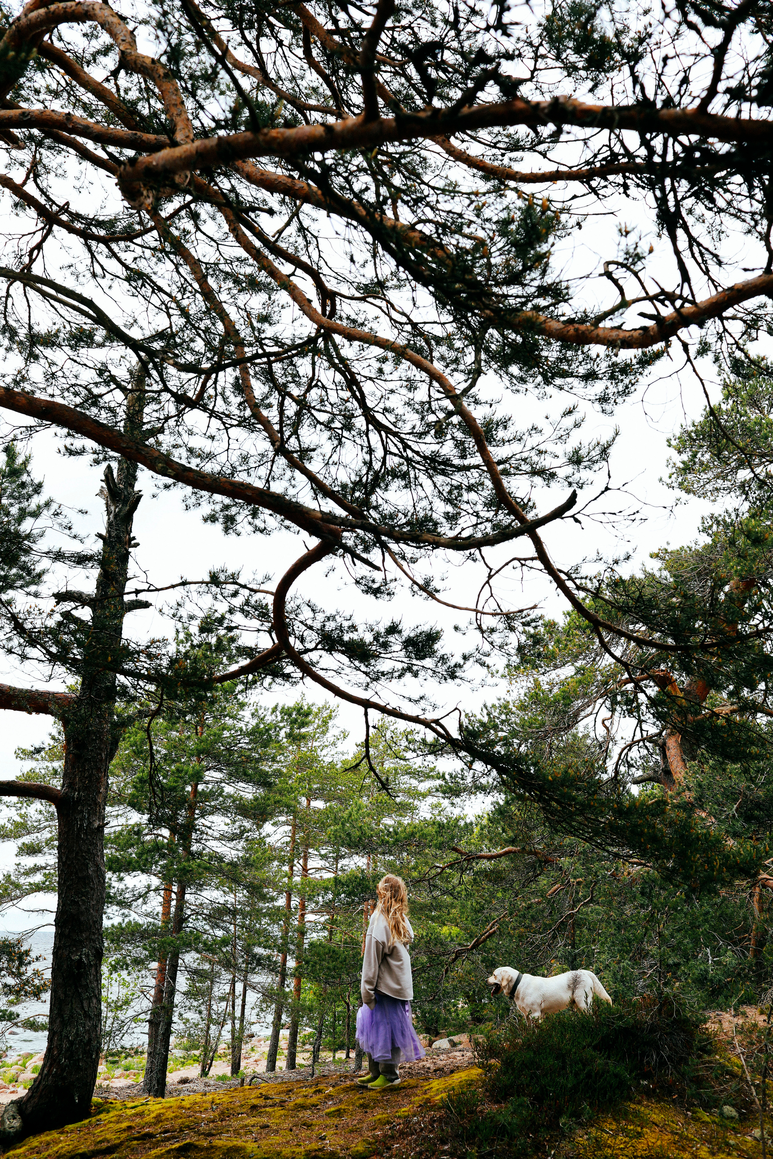 Прогулка по побережью Финского залива. Фотограф в Москве Шаганова Нина