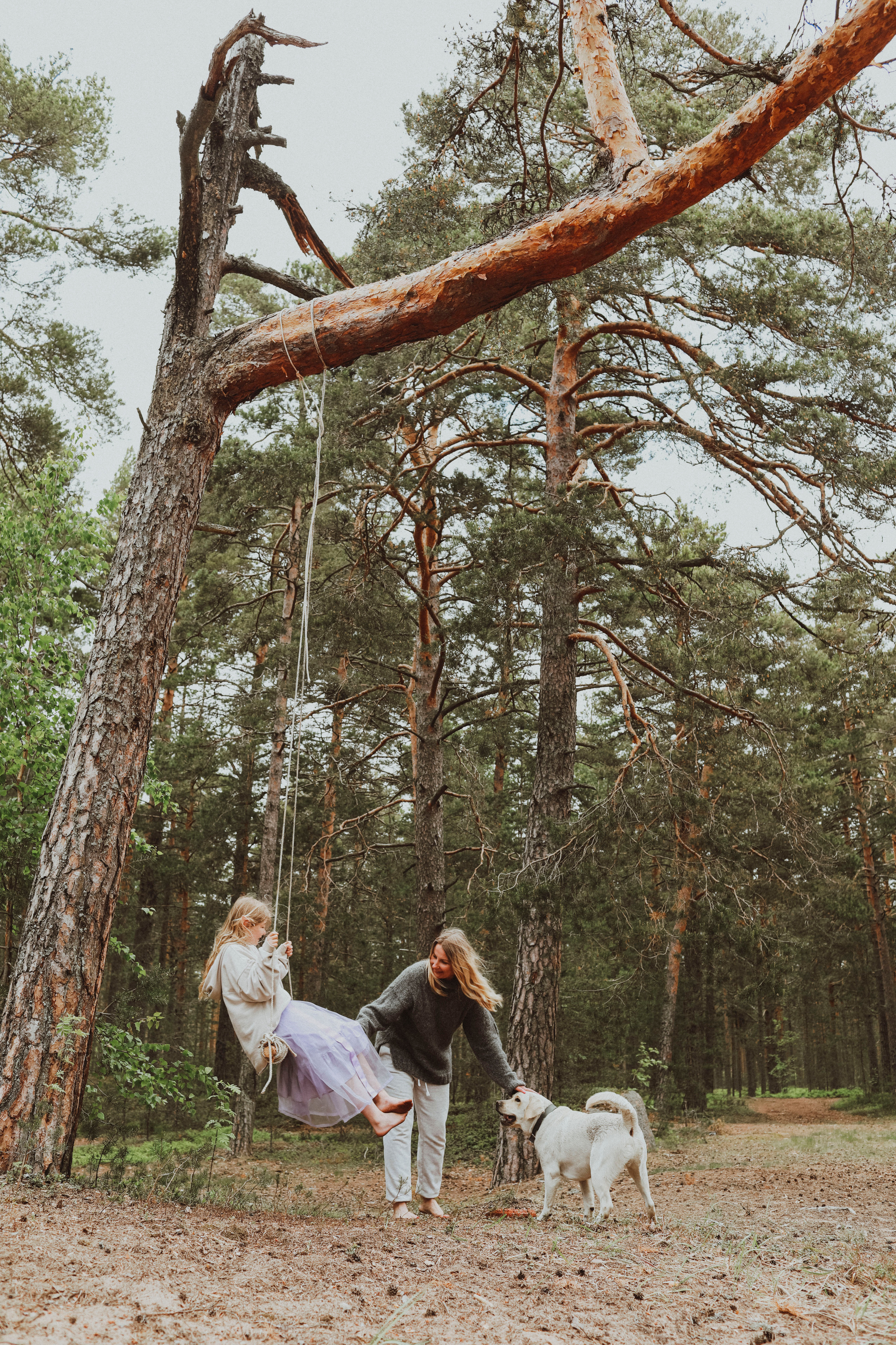 девочка катается на тарзанке в хвойном лесу