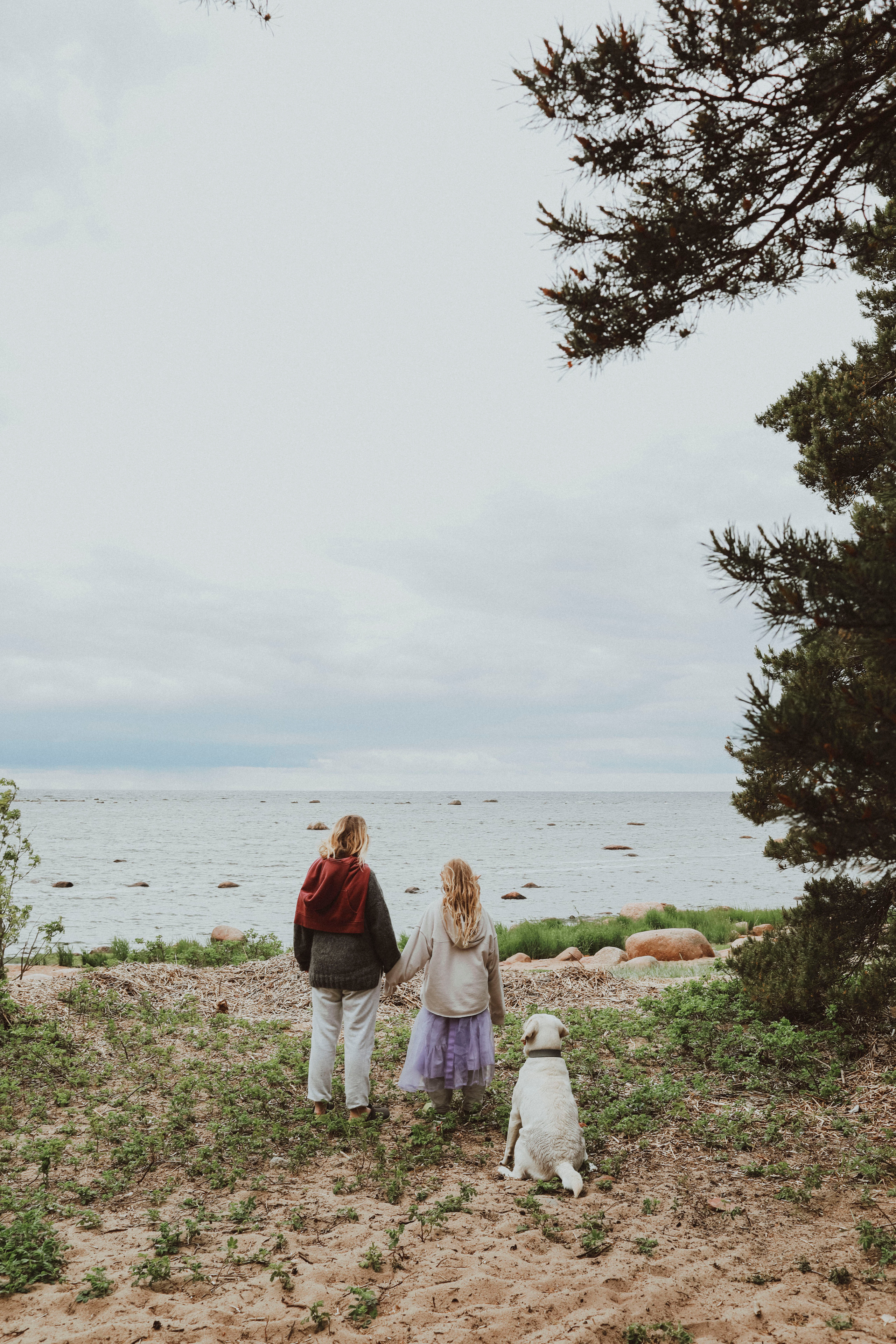 Прогулка по побережью Финского залива. Фотограф в Москве Шаганова Нина
