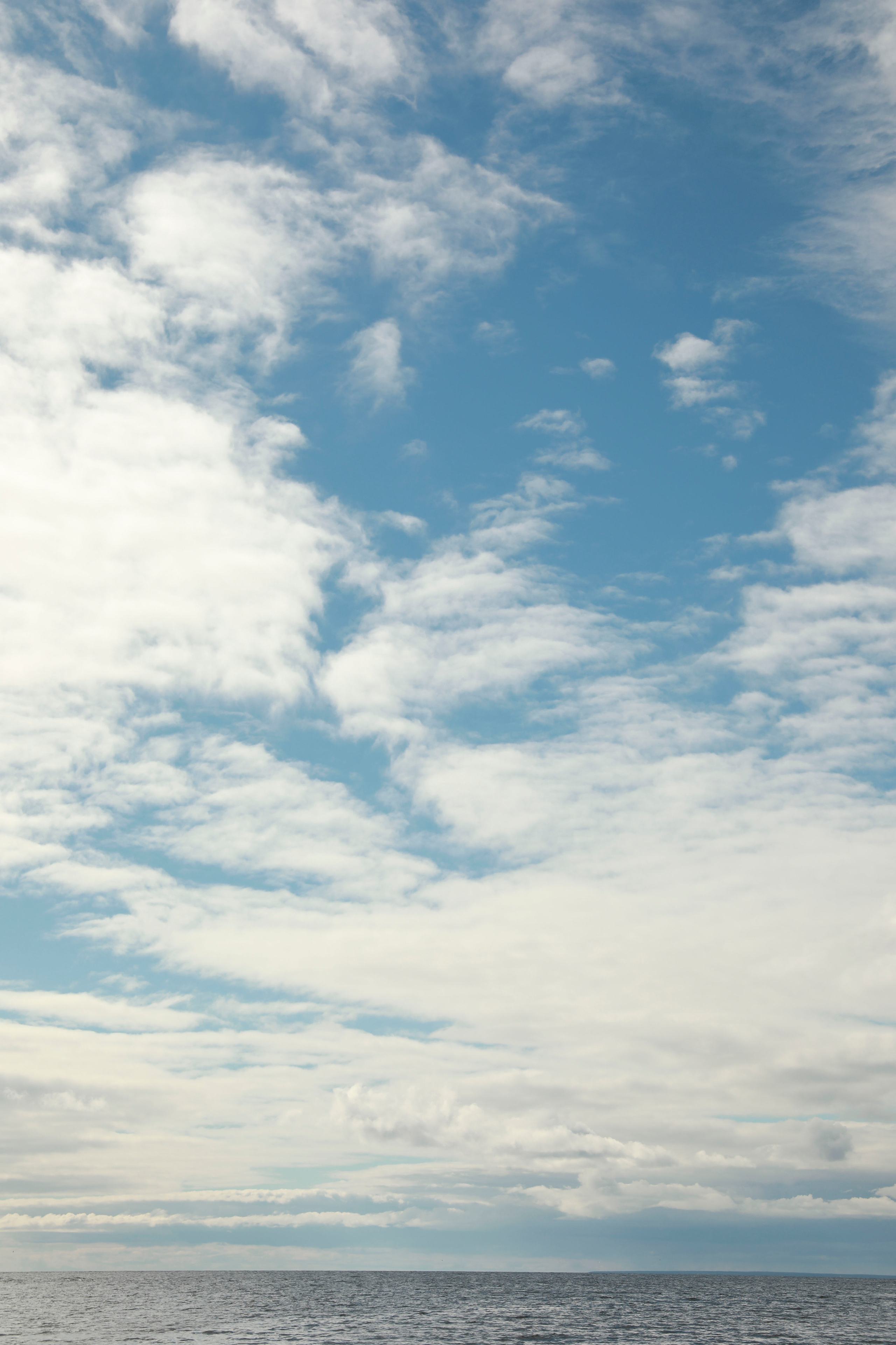 Прогулка по побережью Финского залива. Фотограф в Москве Шаганова Нина