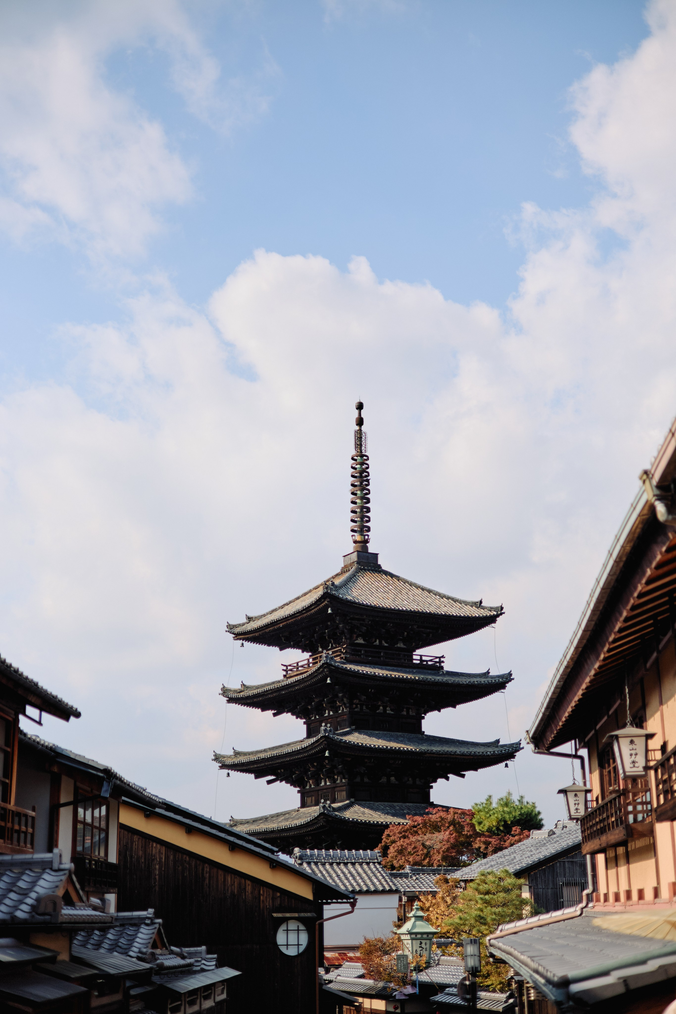 Япония. Профессиональный Фотограф во Владимире, в Москве и в Суздале — Полина Романычева