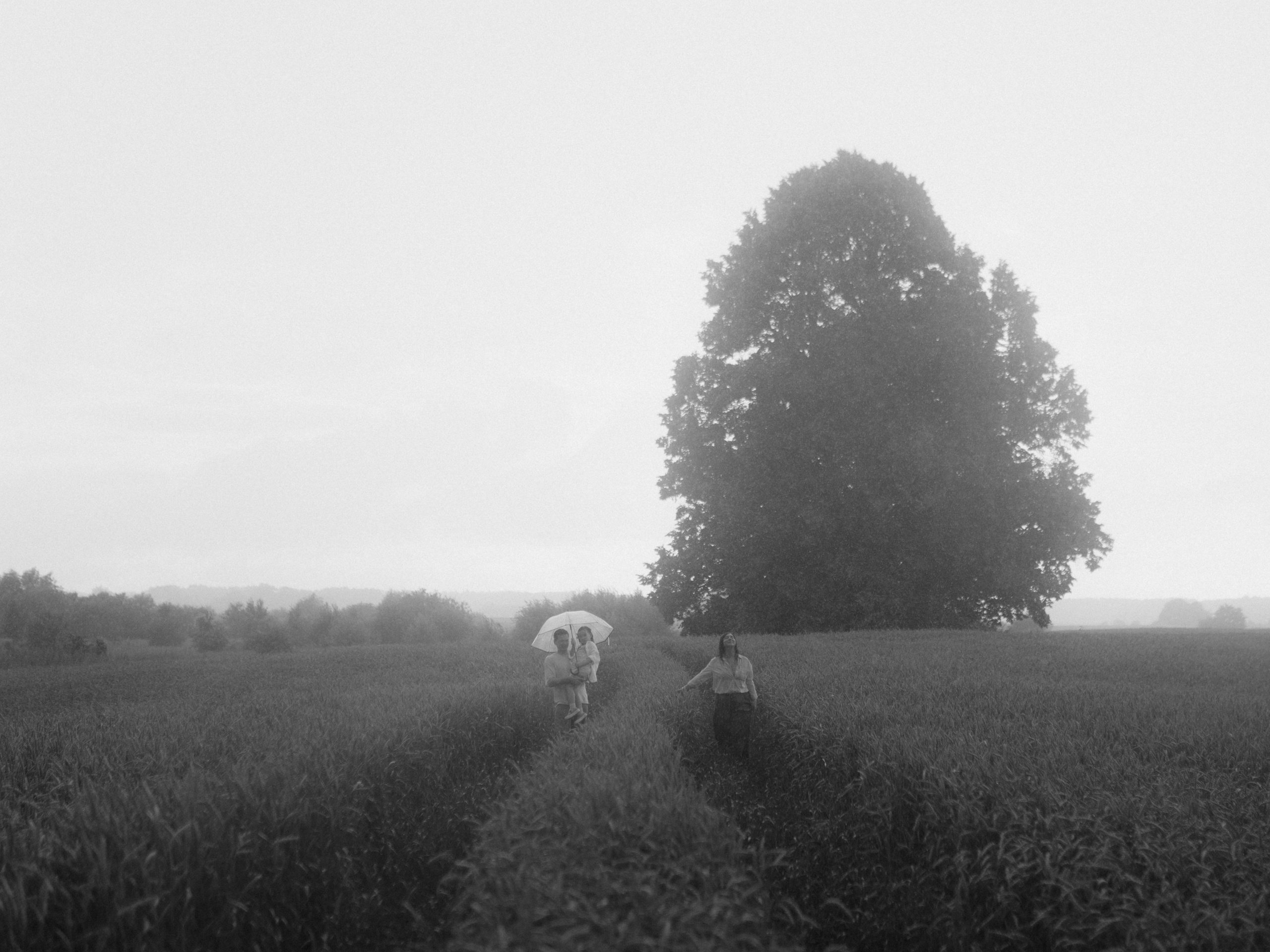 «Под грибным дождём». Свадебный и семейный фотограф в Калининграде Ольга Мешечкова