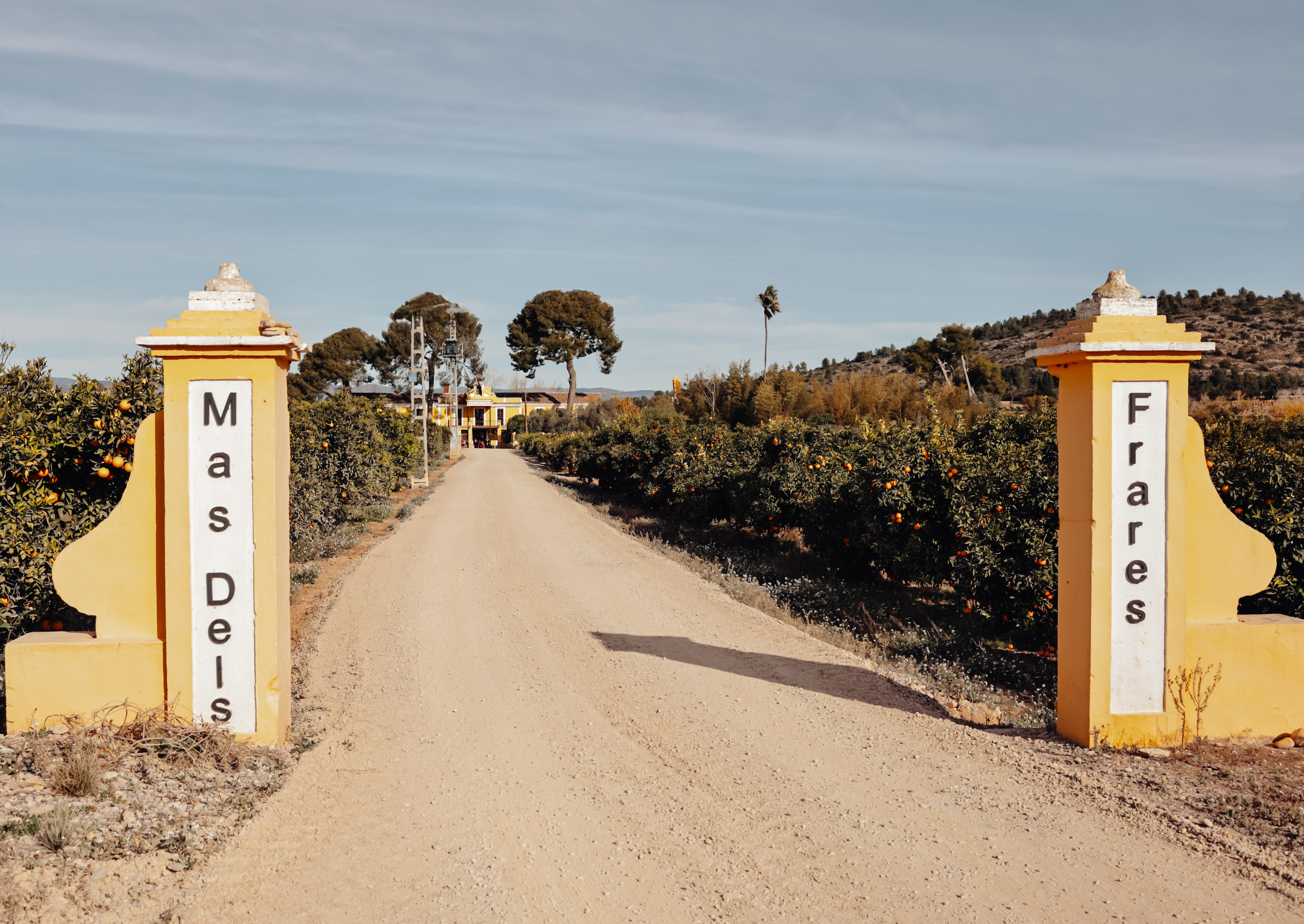Ana & Pablo. Bantser Studio — Wedding photographer and planner in Valencia, Spain