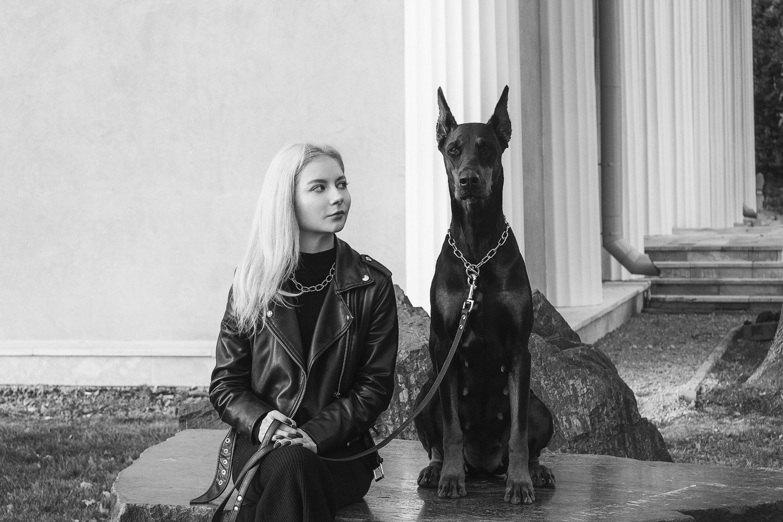 Фотосъемка с доберманом, фотосъёмка с животными, необычная фотосессия