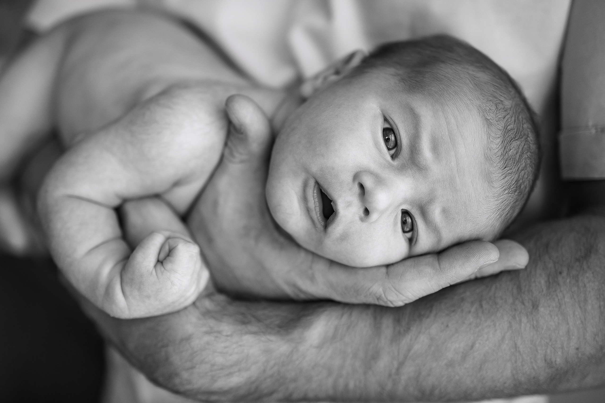 СЕМЬИ. Свадебный фотограф Санкт-Петербург Катерина Ширяева