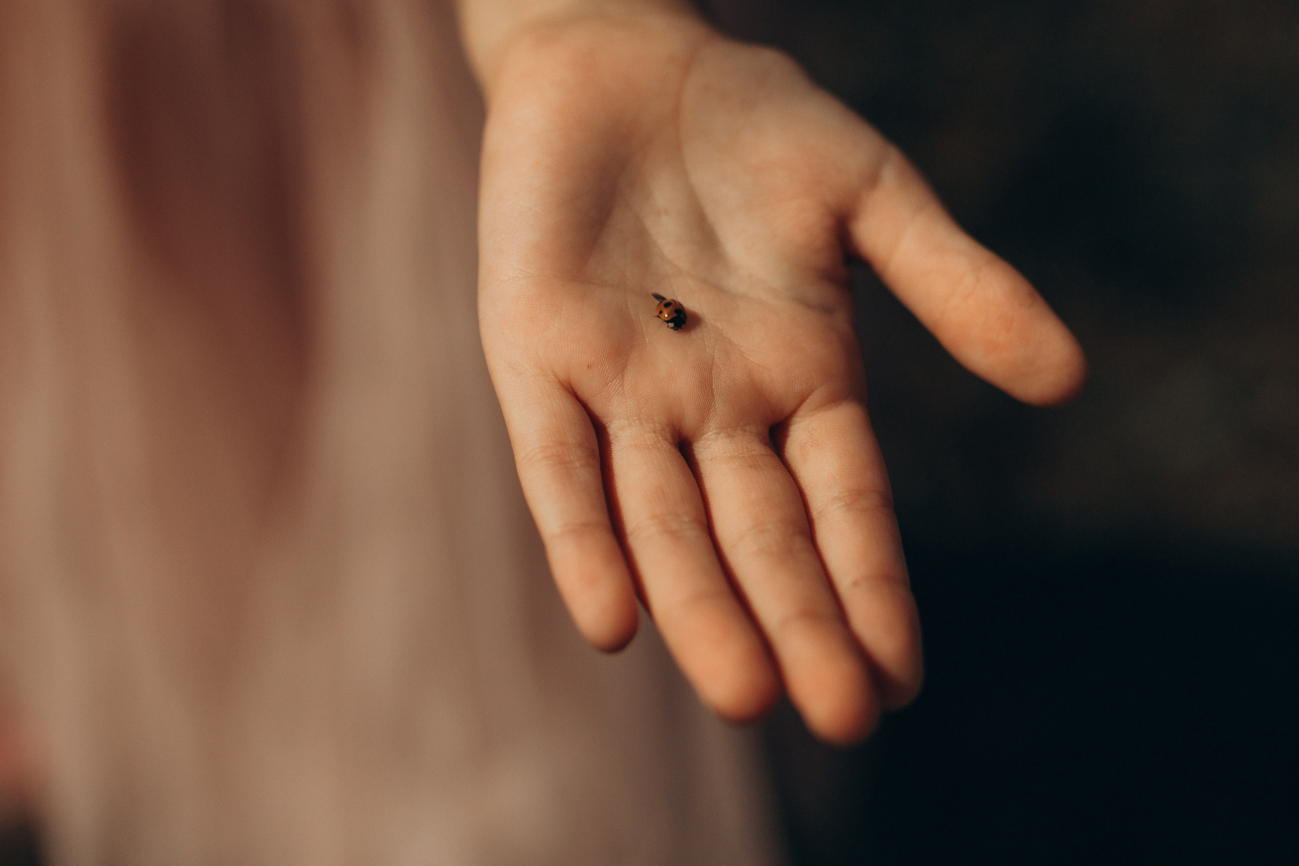 Вика и Миша на сене. Семейный фотограф lifestyle в Новосибирске Елена Шпилевая