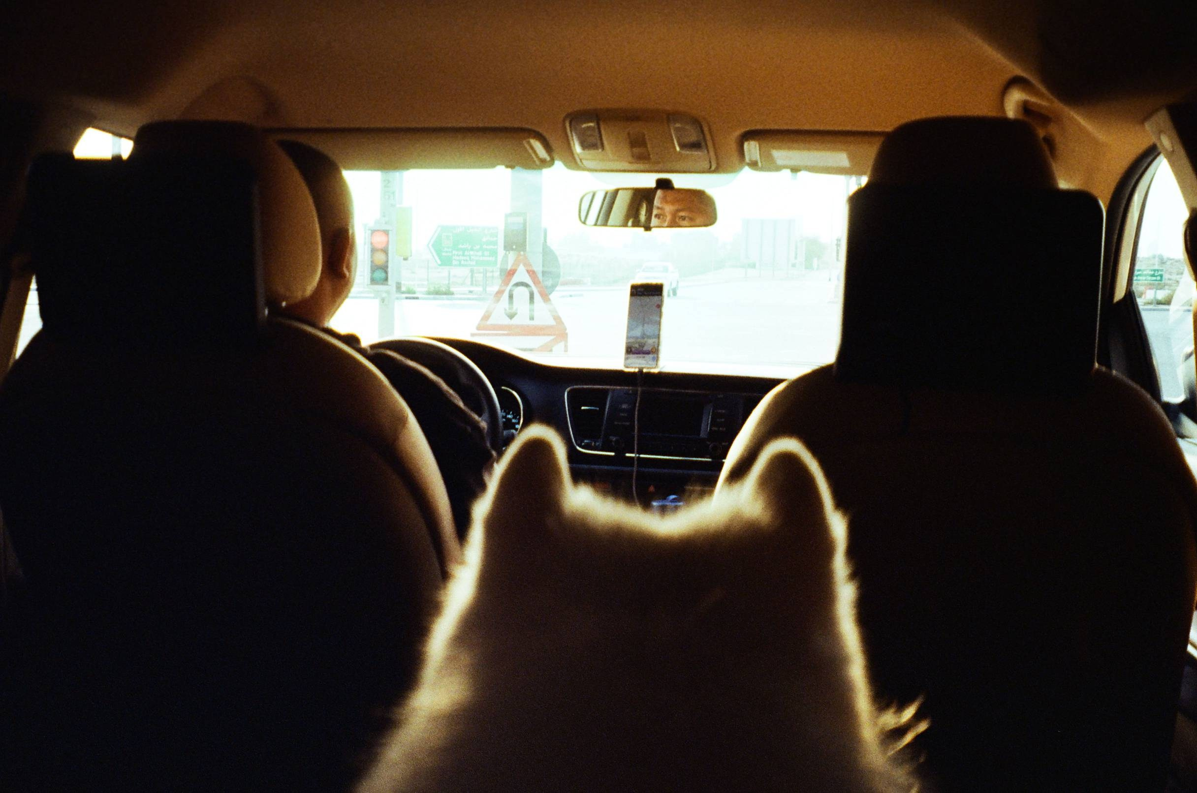 Places. TATIANA DARINA — film photographer in St. Petersburg