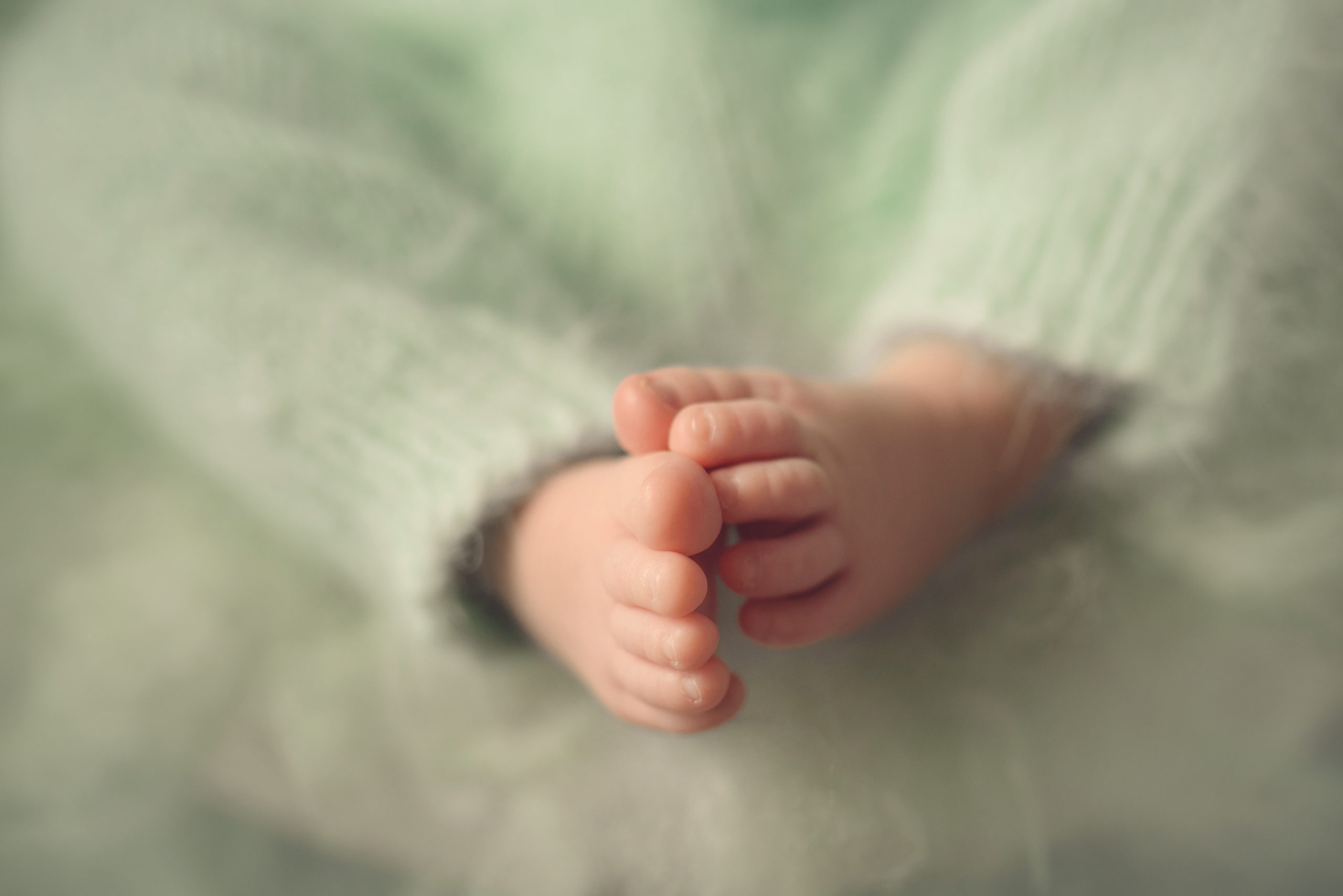 Новорожденные. Фотограф Шарыпово