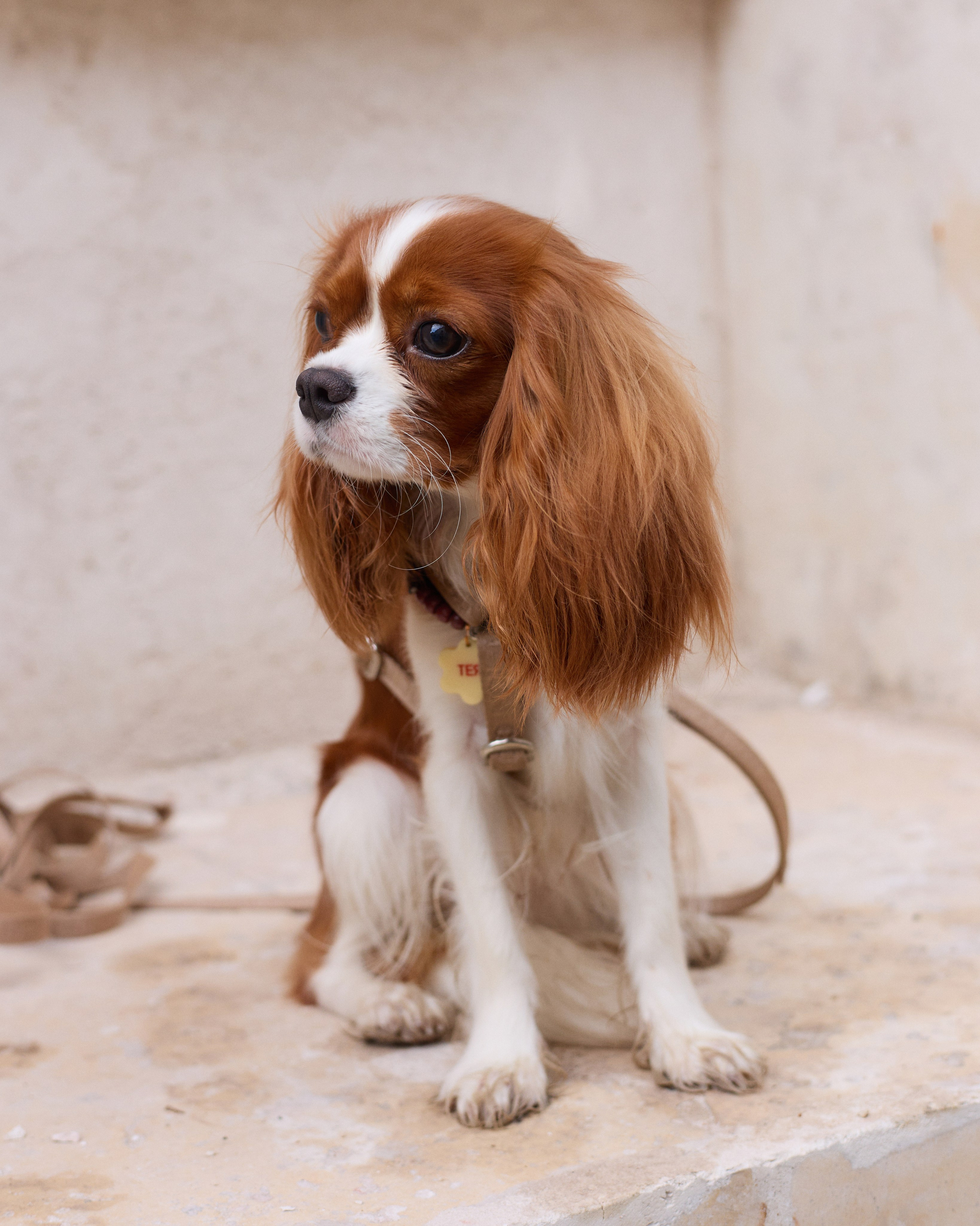 Liza&Tea. Фотограф для брендов и индивидуальных фотосессий в Москве