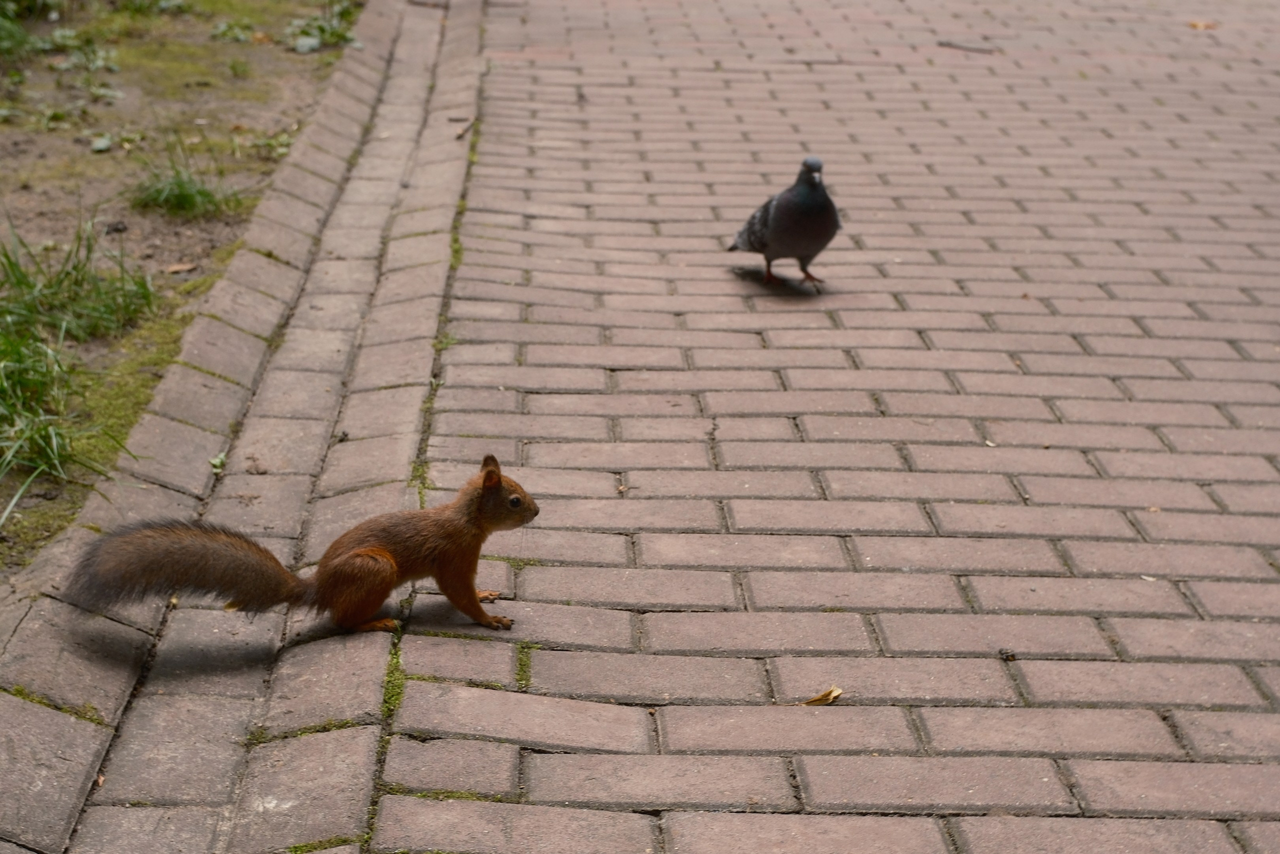 Царицыно 10.08.2025. Улица, люди, жизнь…