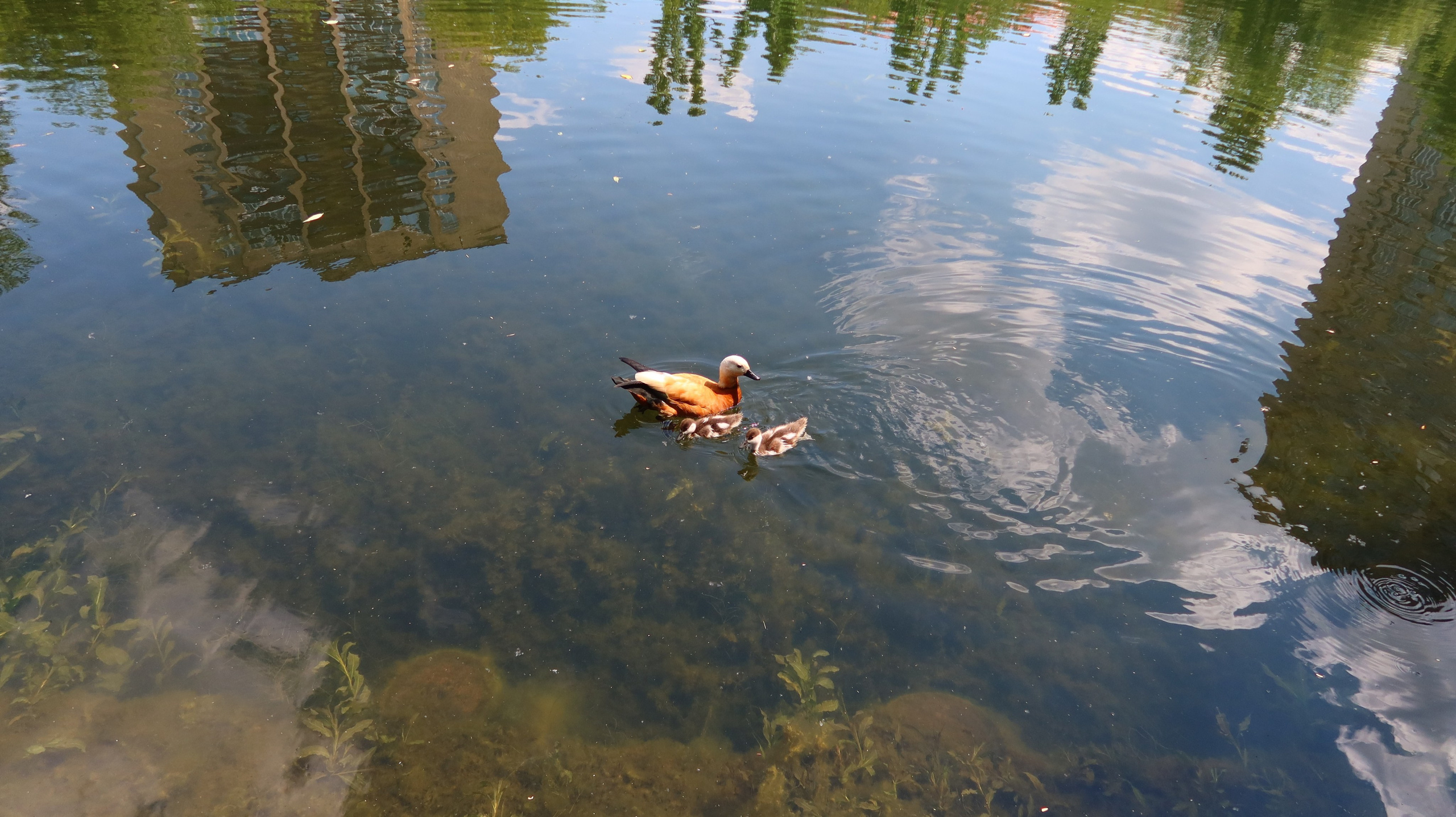 Антроповский сквер. Улица, люди, жизнь…
