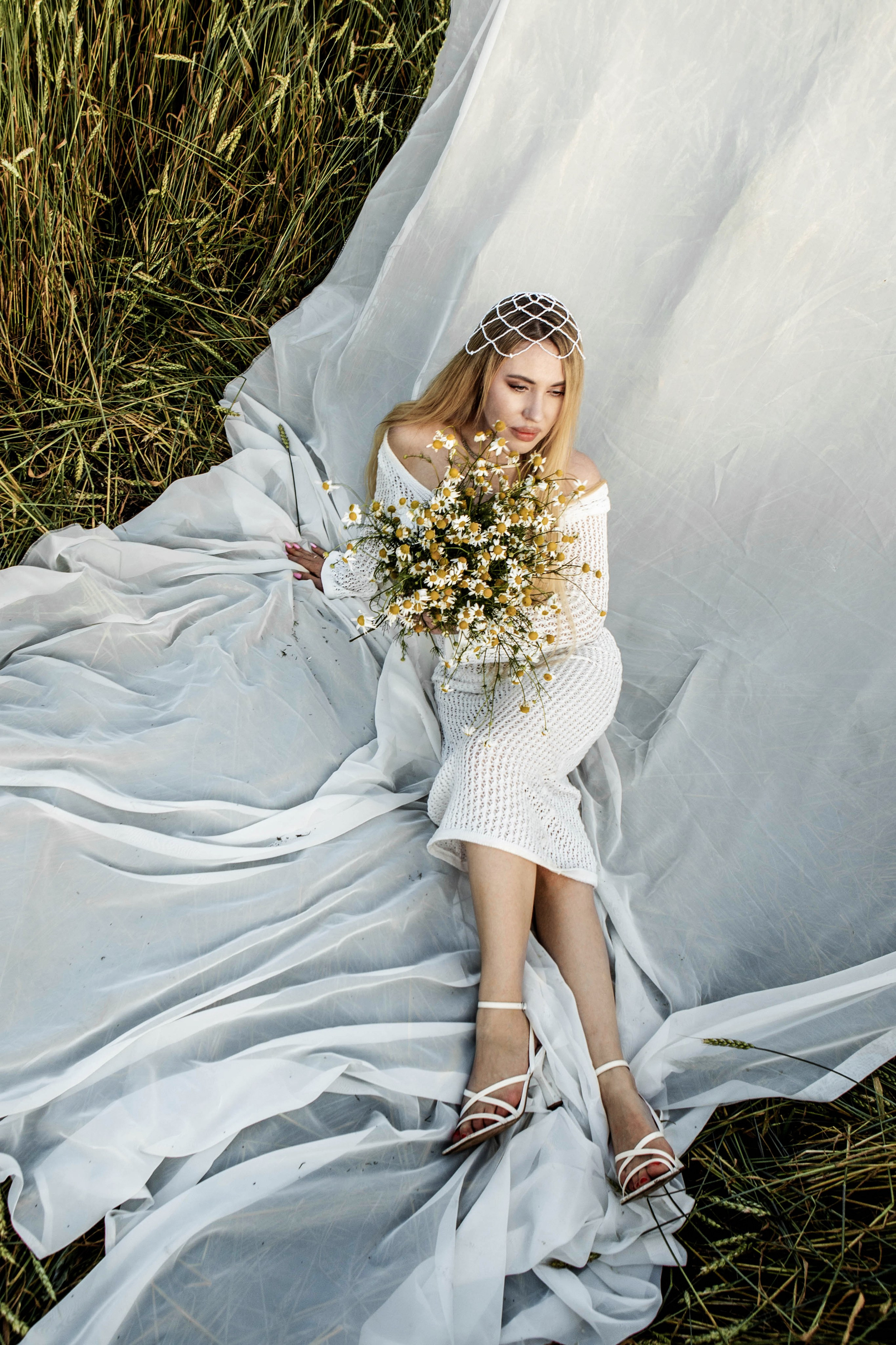 Ромашки. Фотограф Екатерина Голицына