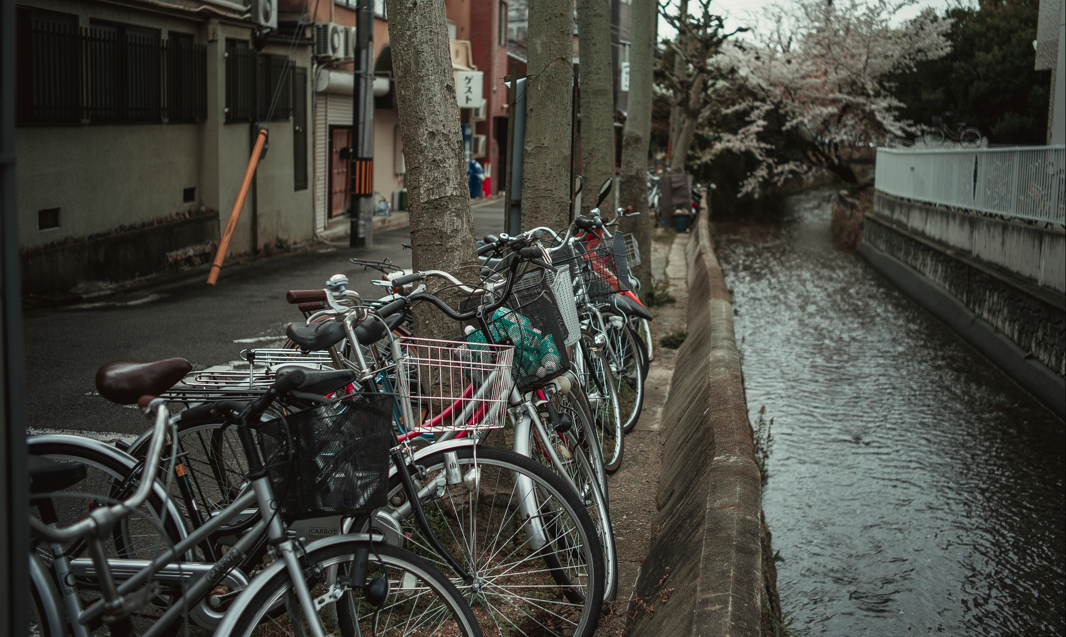 Japan. Фотограф Cyberkyrie
