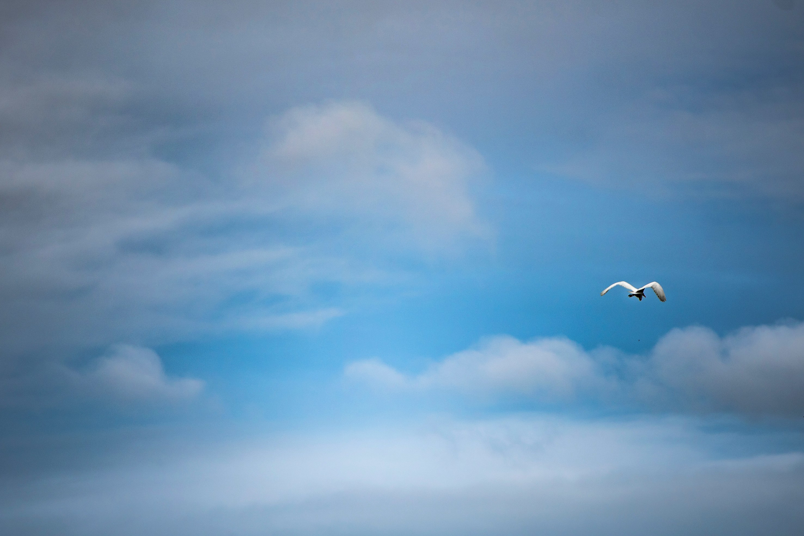 Природа Хабаровского края. Команда фотографов Кристины Ивановой