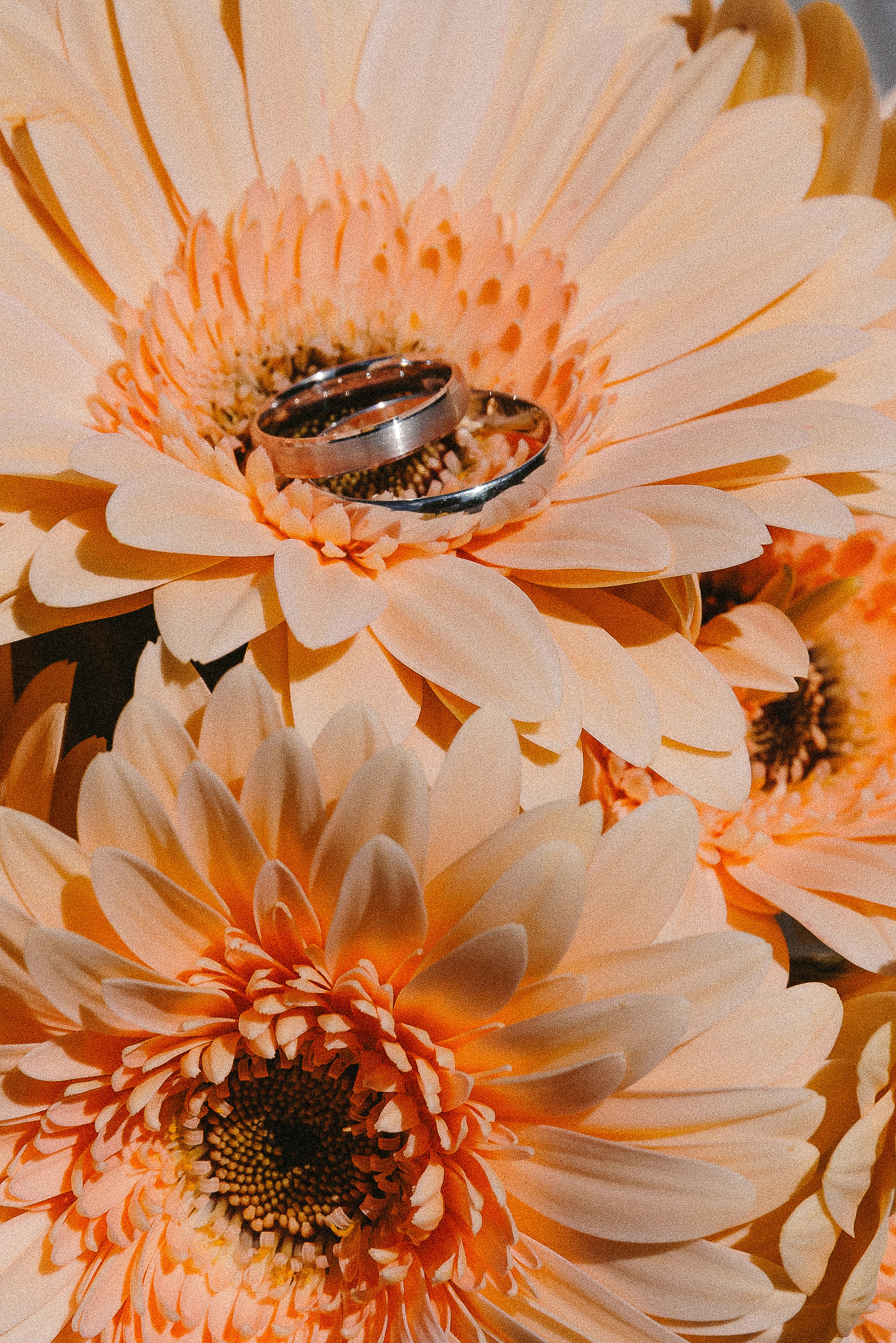 Дима и Наташа. Фотограф Анастасия Вега Ростов-на-Дону