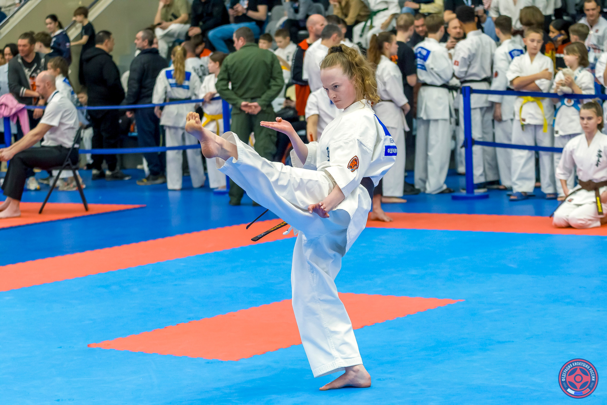 Международный турнир по киокушин «Открытый кубок Seiken». Репортажная съемка в Москве и области. Анималистика