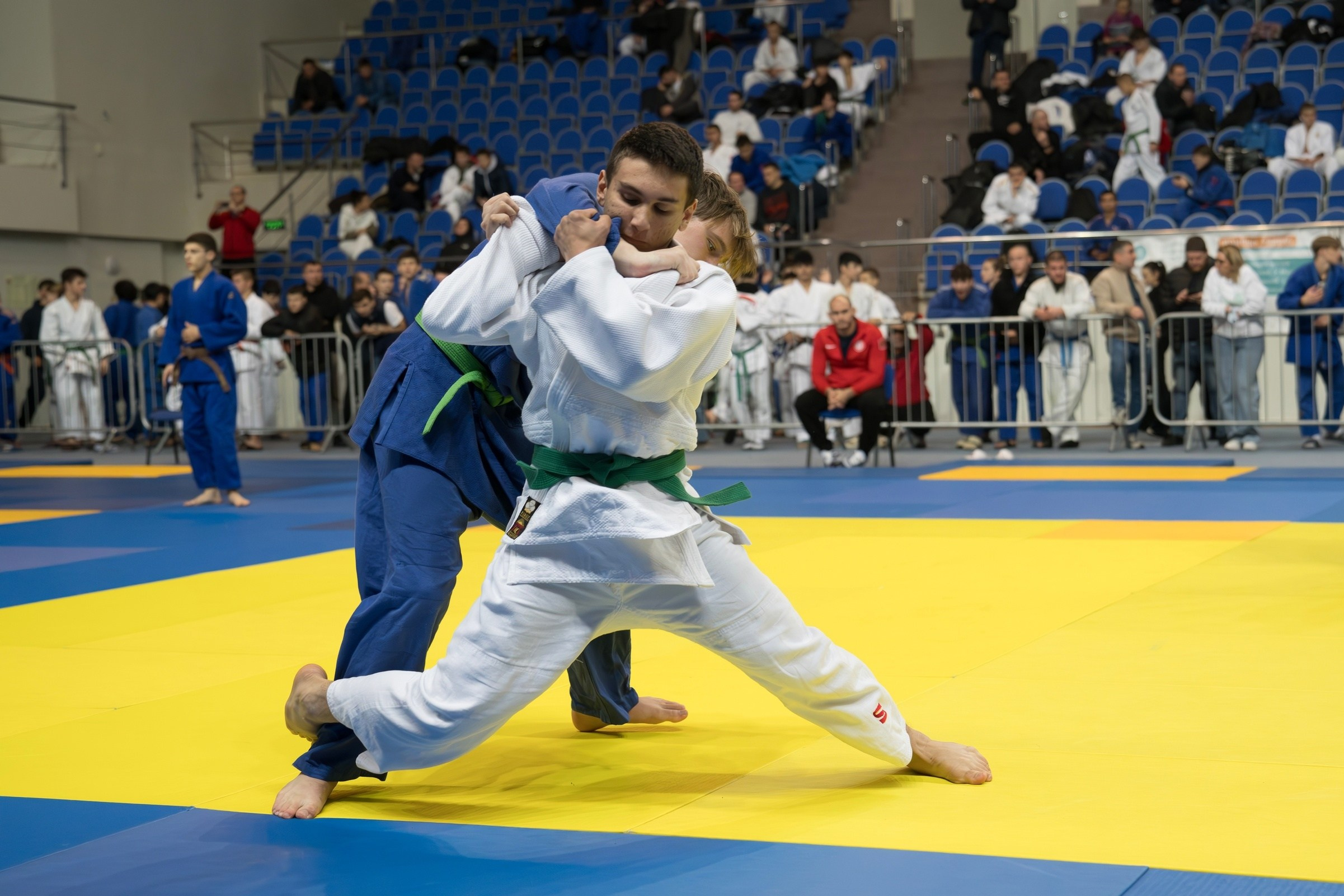 Единоборства. Профессиональный фотограф ДМИТРИЙ ЕГОРОВ