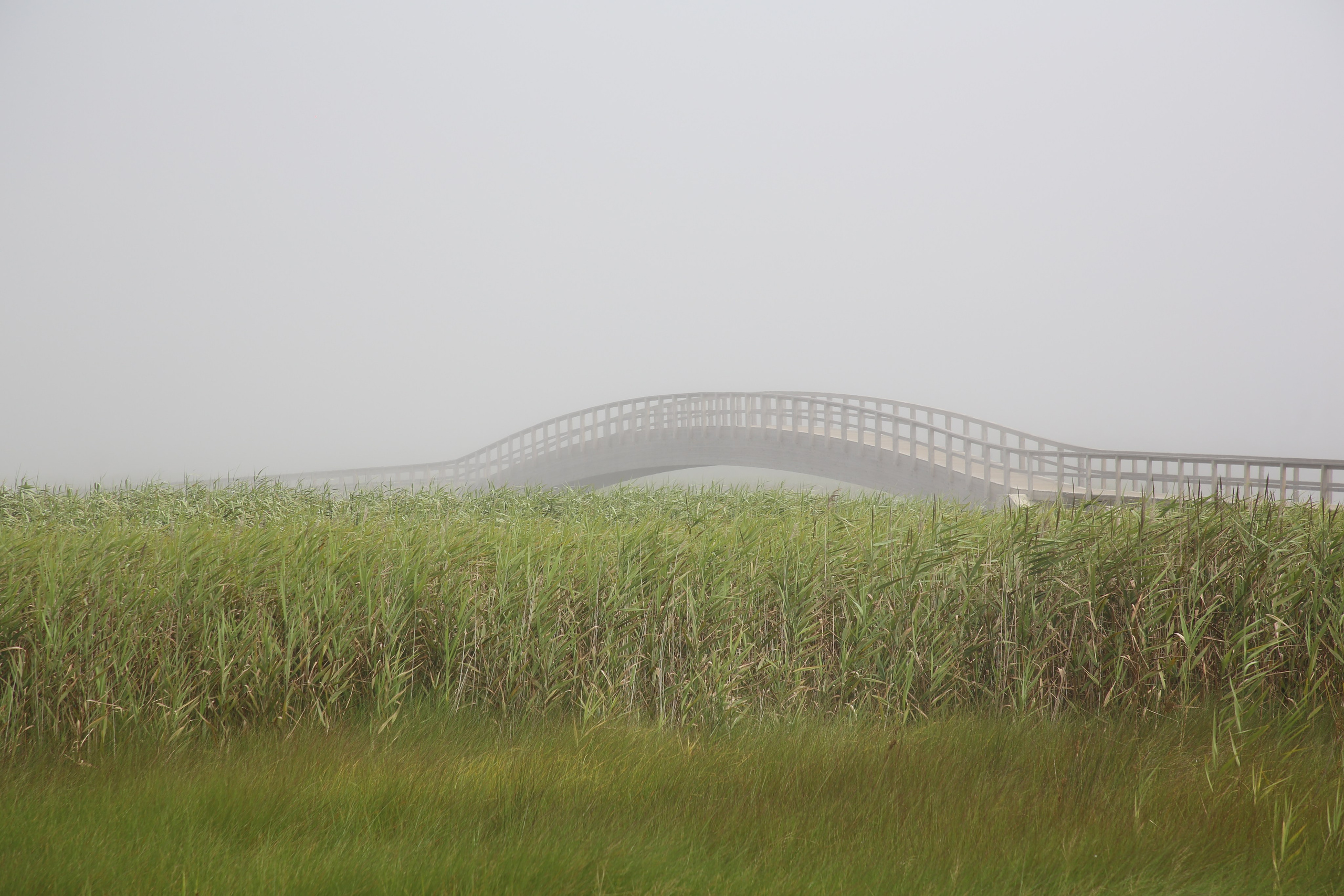 Esmoriz, Portugal. Andrey Filippov Photographer
