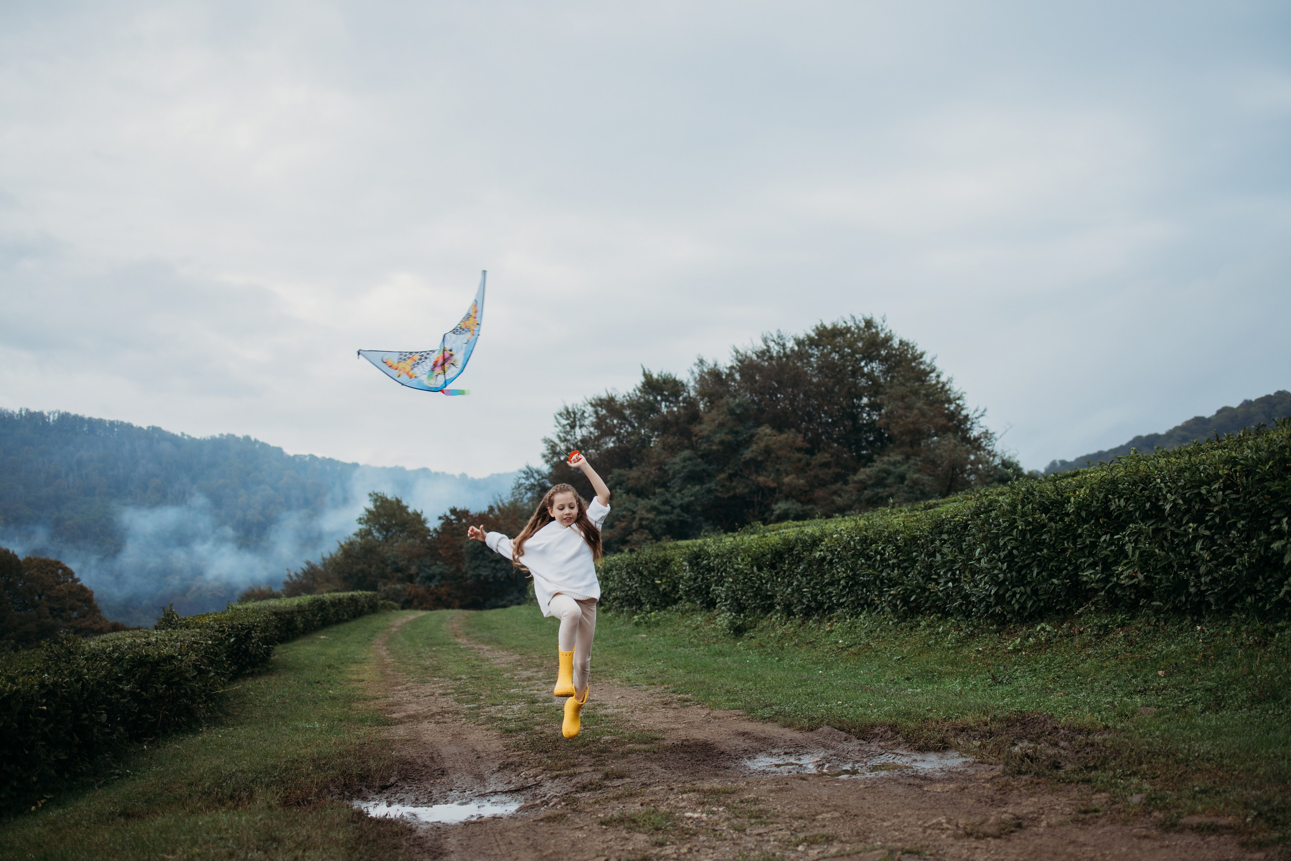 Чайные плантации мацеста. Фотограф Сочи Татьяна Зорина
