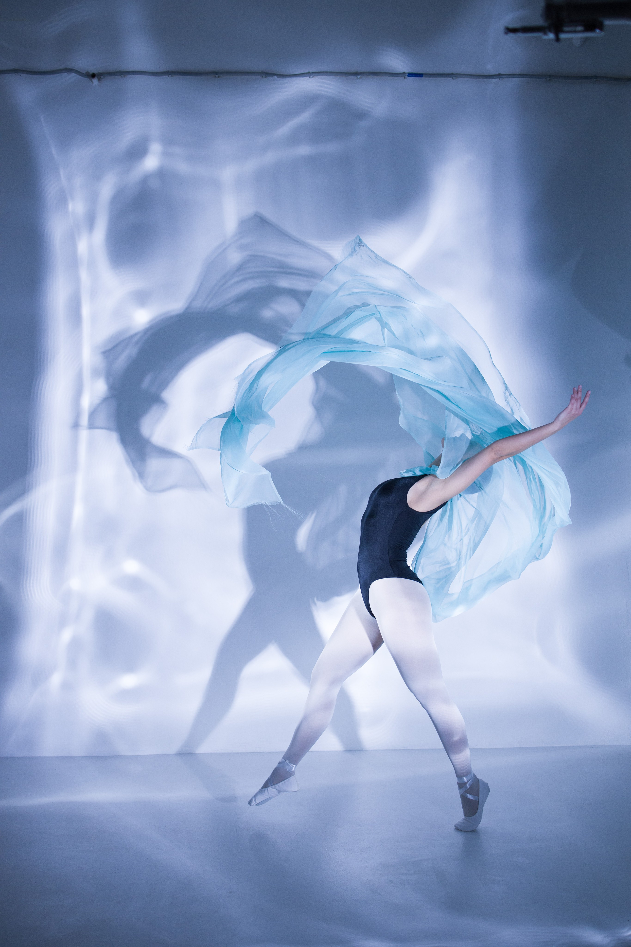 Лилия. Художественная фотография