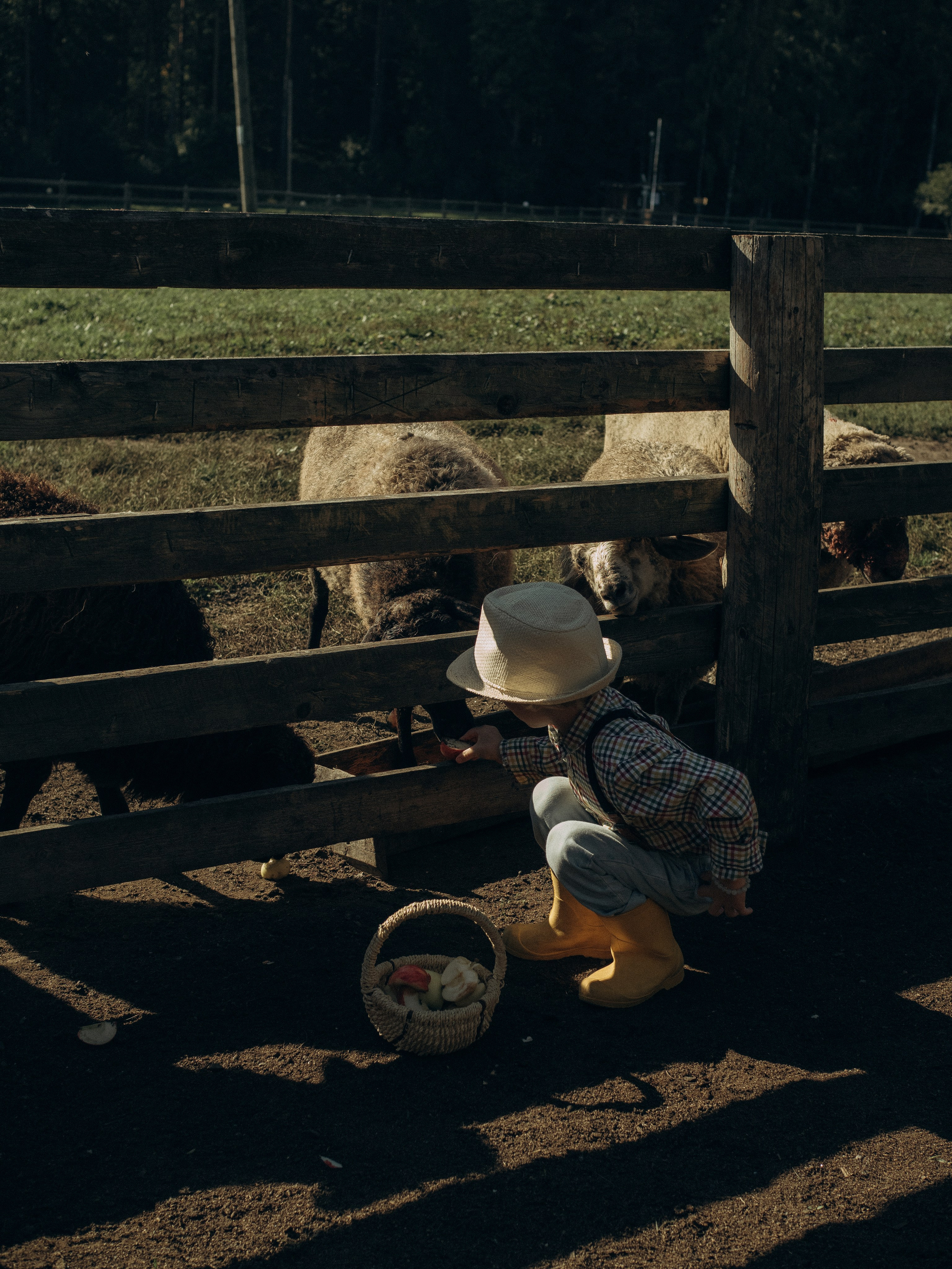 Fam2. Фотограф в Сортавала Карина Буглакова