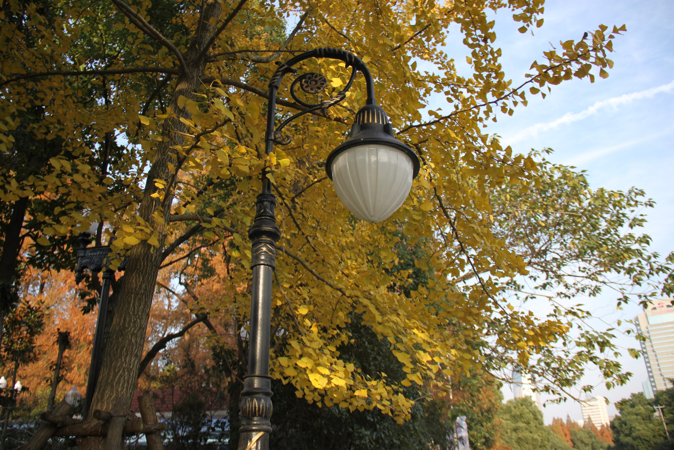 Shanghai, China. Andrey Filippov Photographer