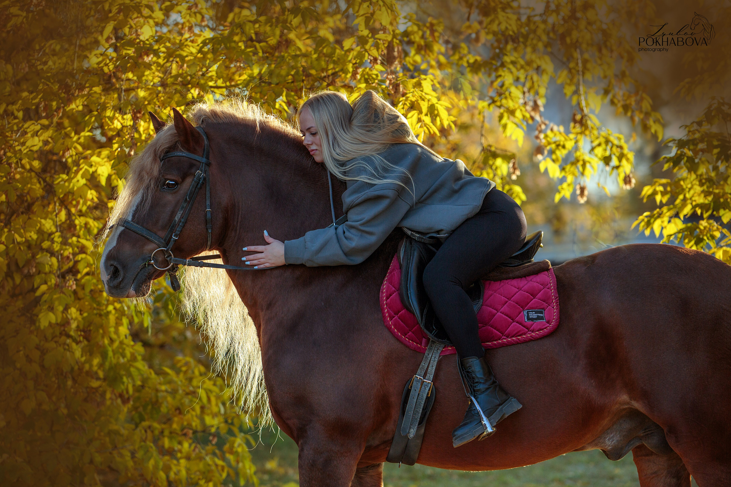 Карета 24. Конный фотограф в Красноярске — Любовь Похабова