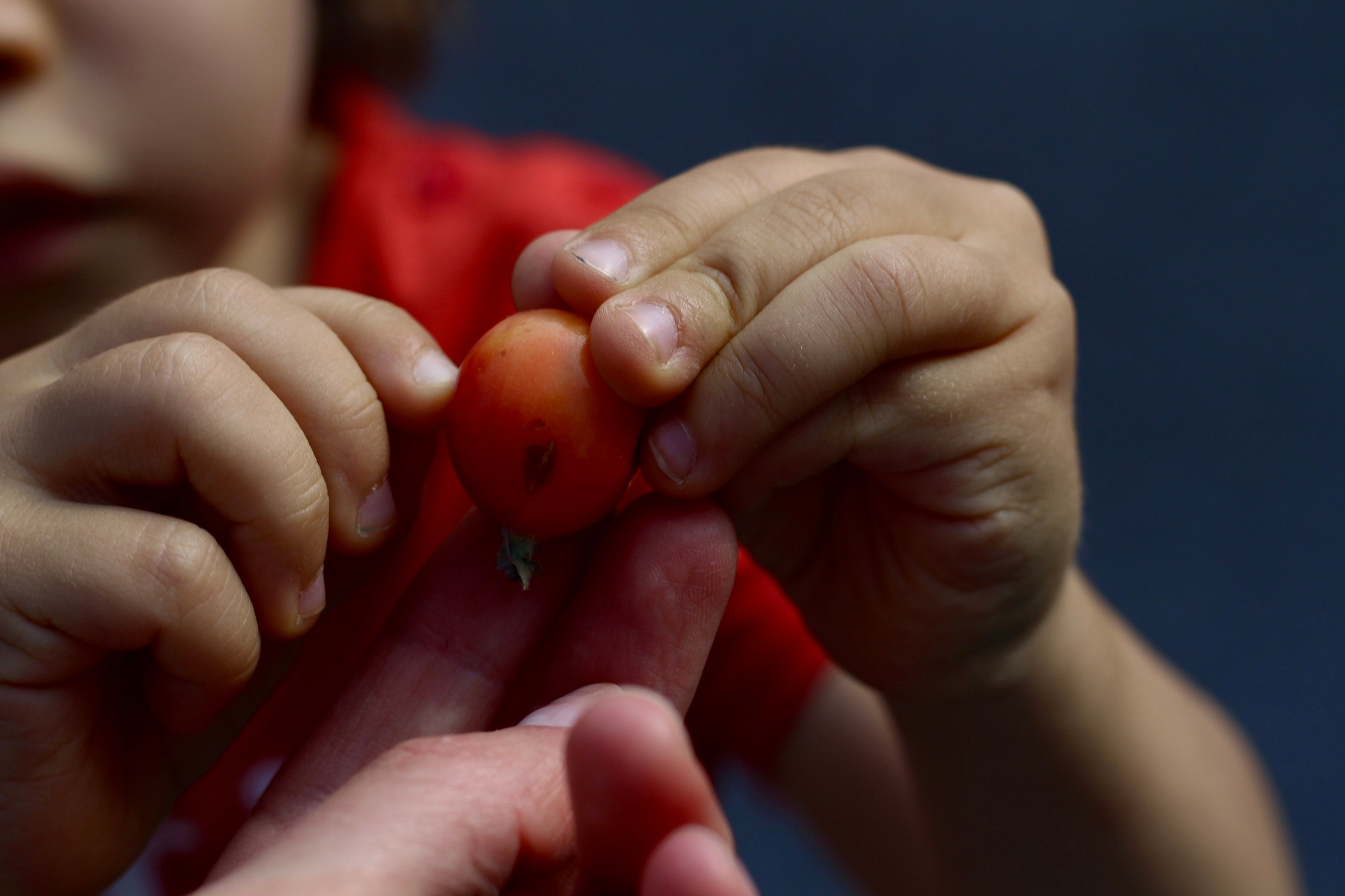 Семейный фотограф в Москве Ольга Комарова