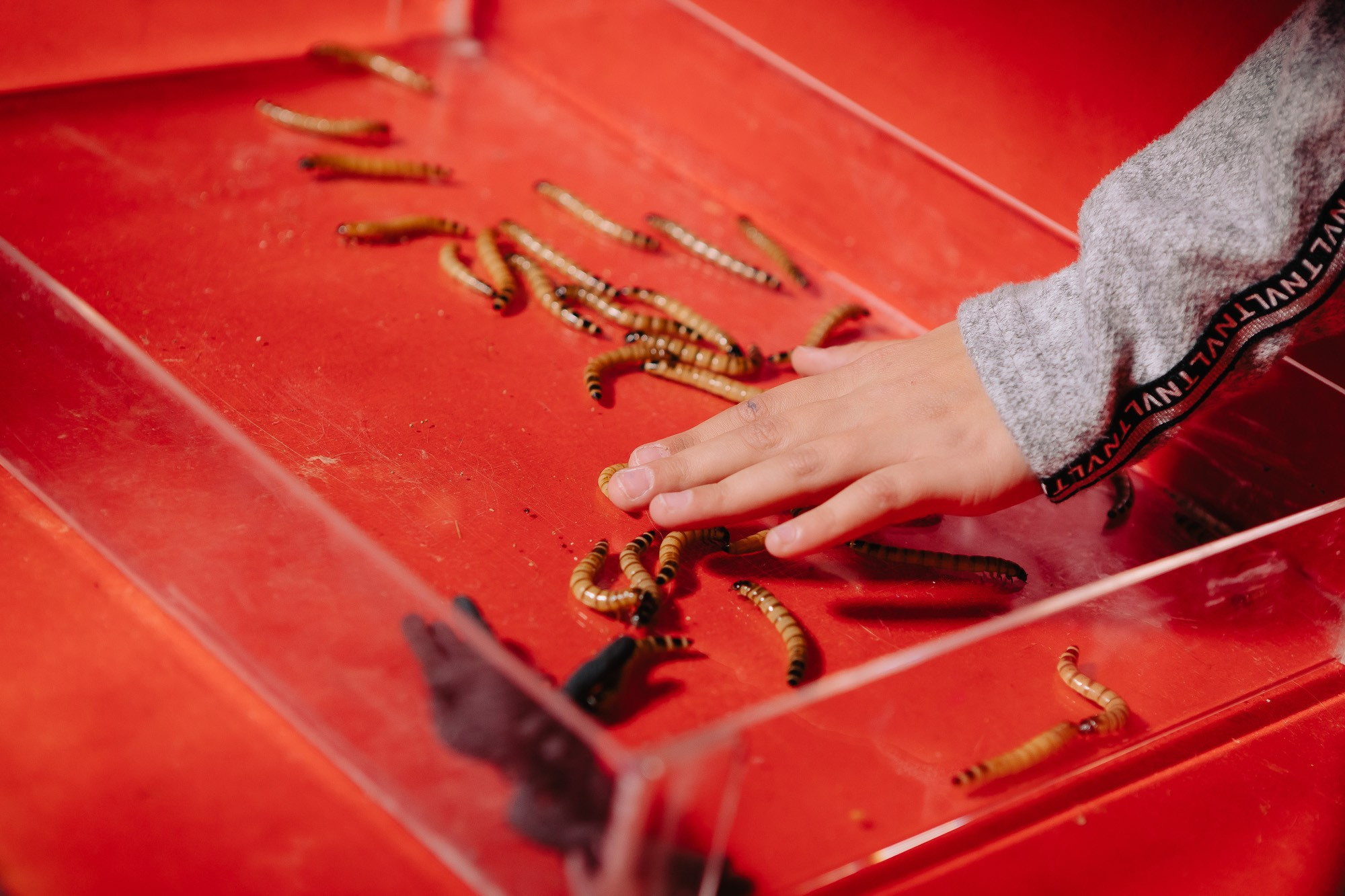 JANE 8. Фотограф в Сочи, Репортажный фотограф Виктор Кочков-Филатов