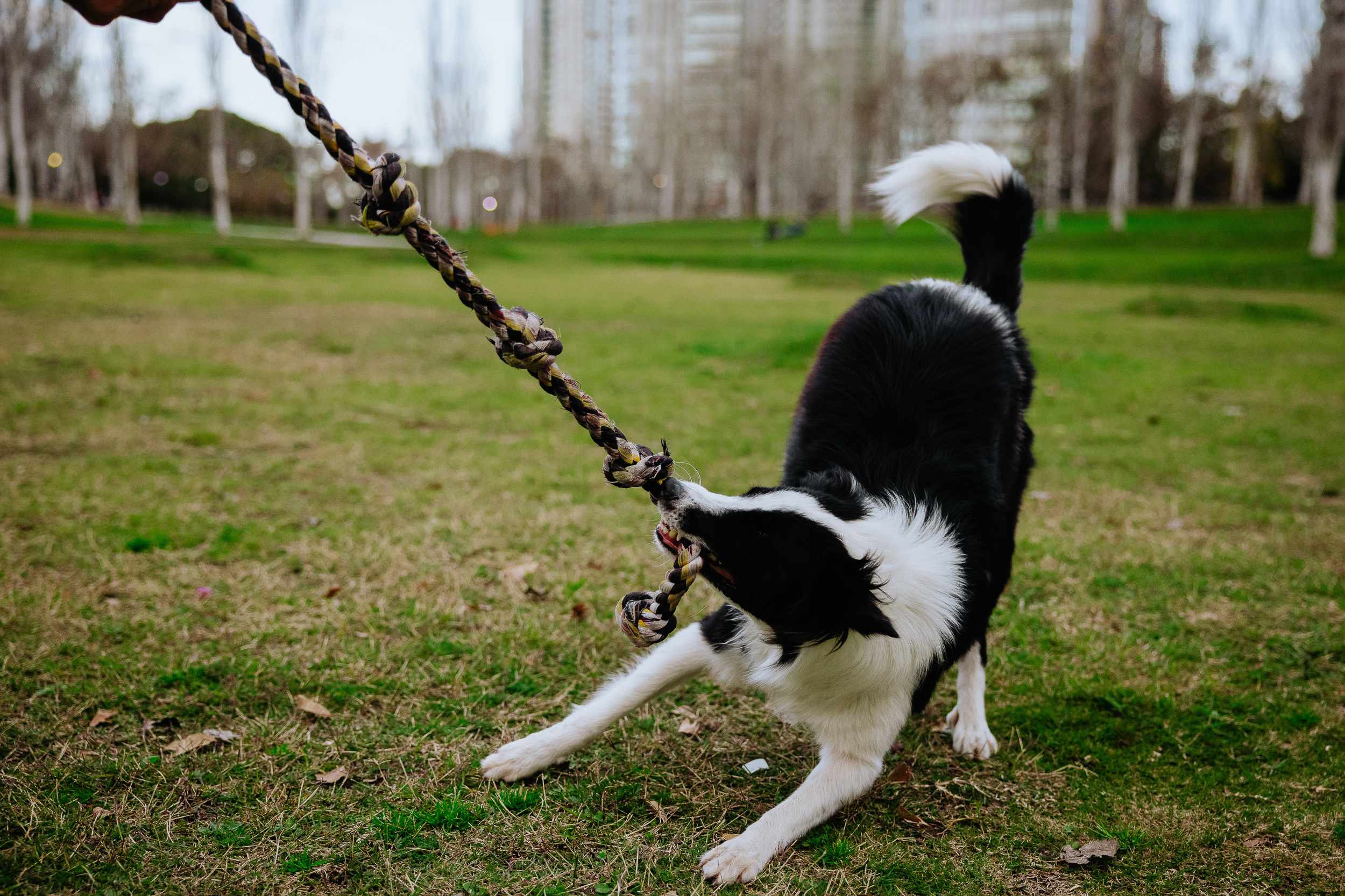 Фотограф Буэнос-Айрес. Фотограф в Сочи, Репортажный фотограф Виктор Кочков-Филатов