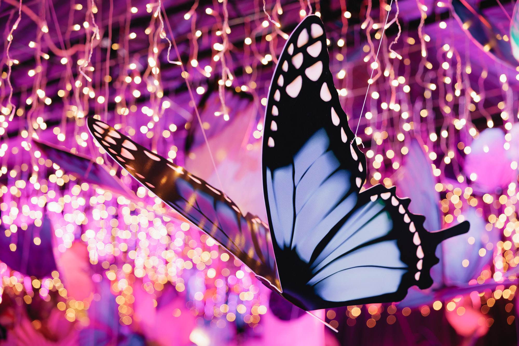 Alice 1 Restaurant. Фотограф в Сочи, Репортажный фотограф Виктор Кочков-Филатов