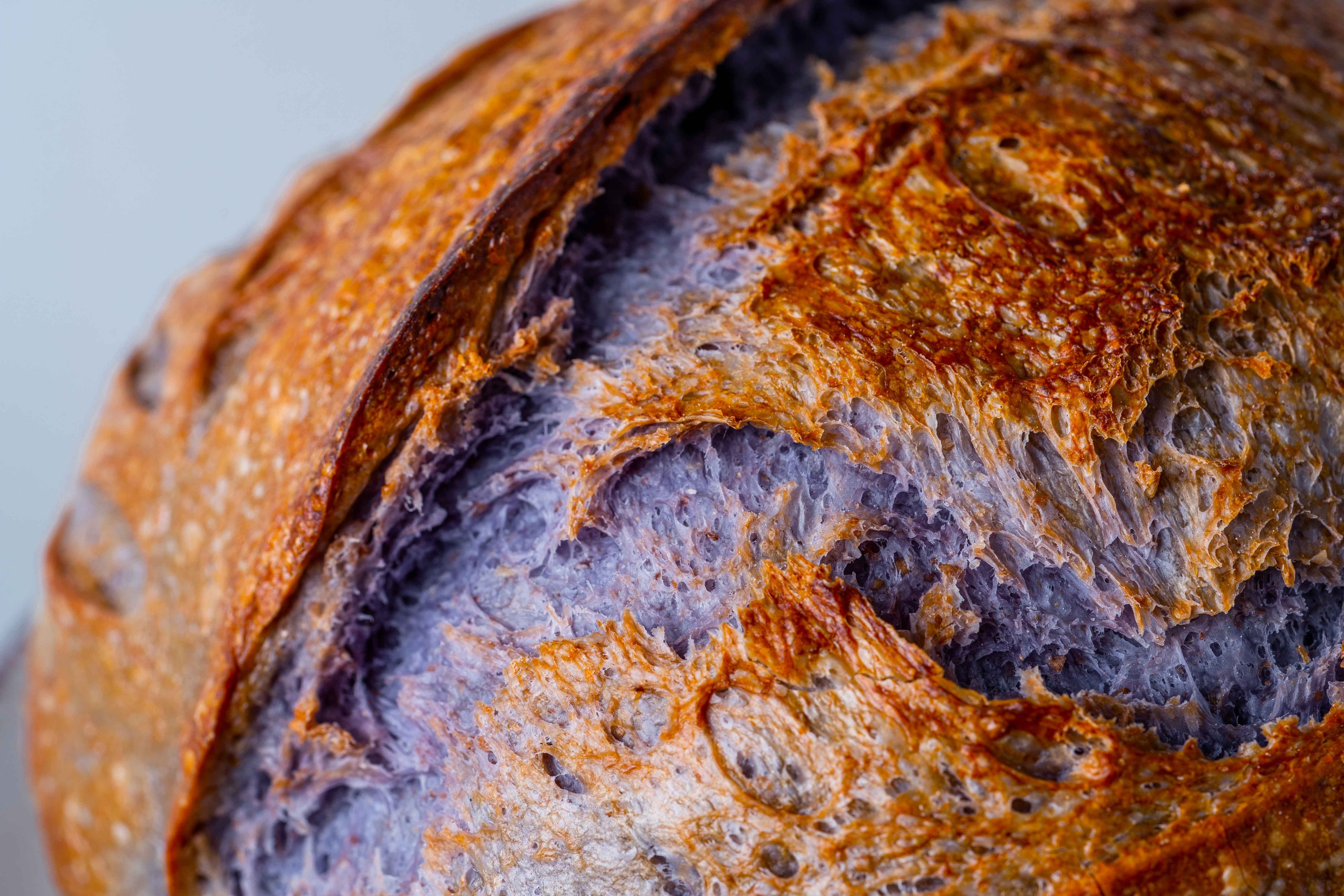 Фуд фотограф Дубай и Москва. Фотограф и видеограф в Москве и Абу Даби Мария Кулагина