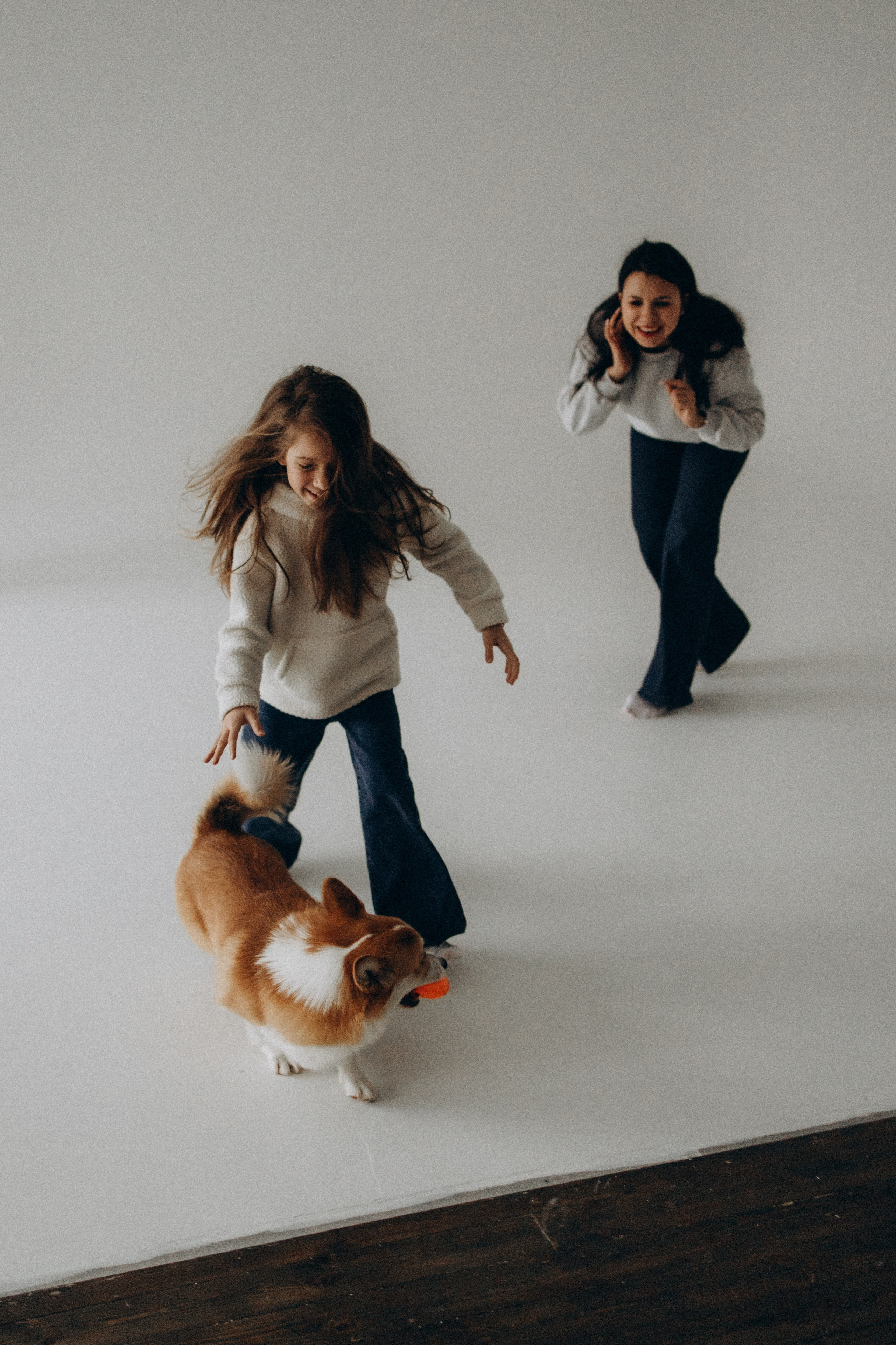 Зевс и его семья. Фотораф — анималист Мария Шистка