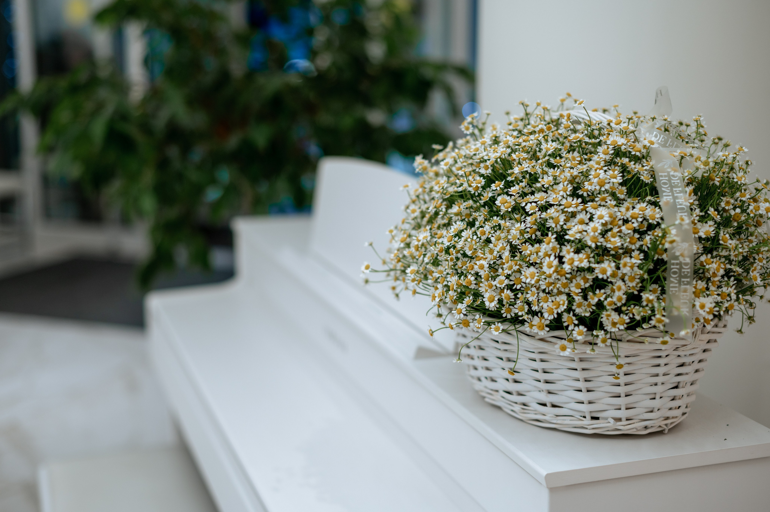 Презентация бренда