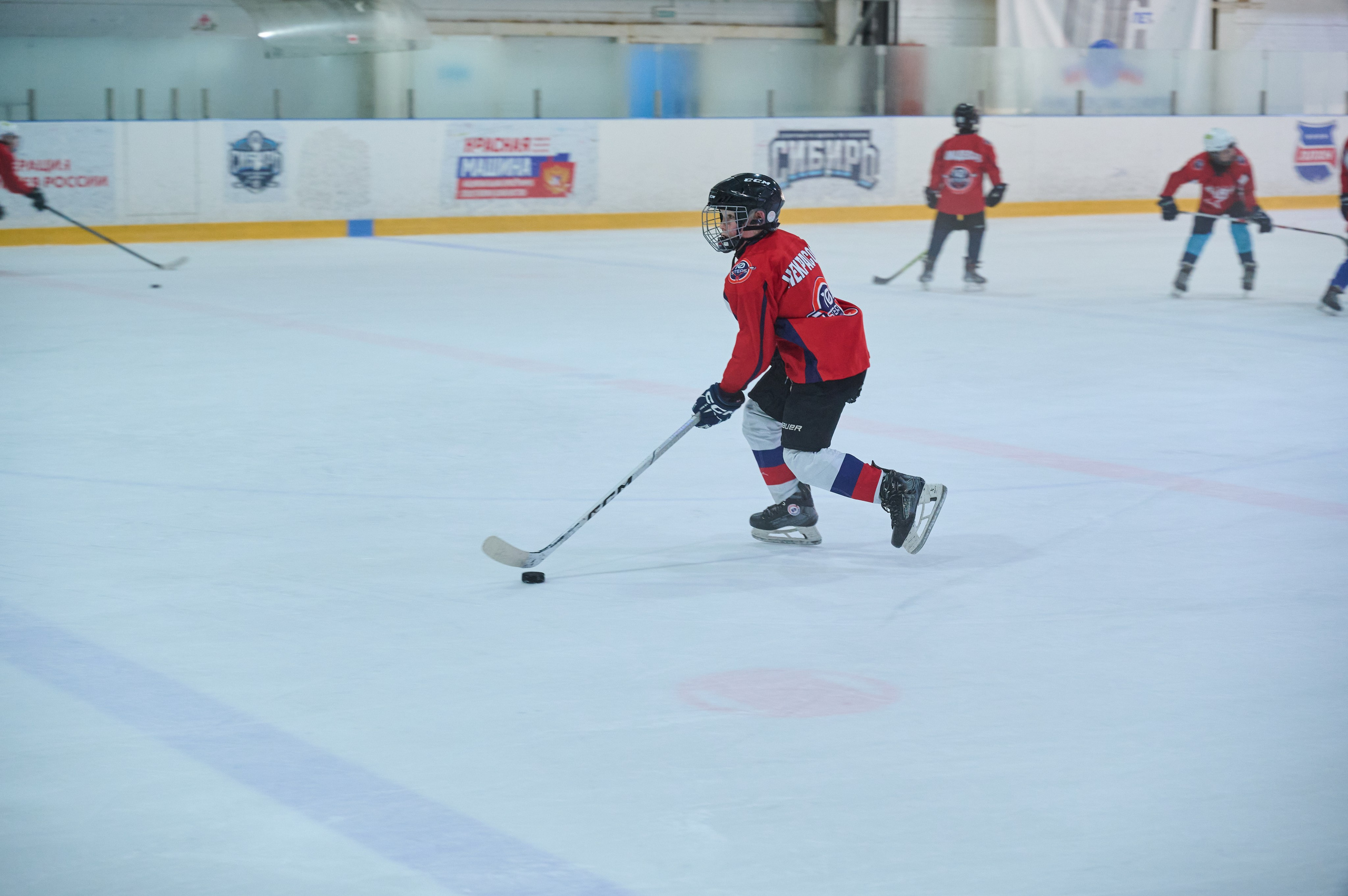 Boston Stars. Фотограф Универсал в Новосибирске