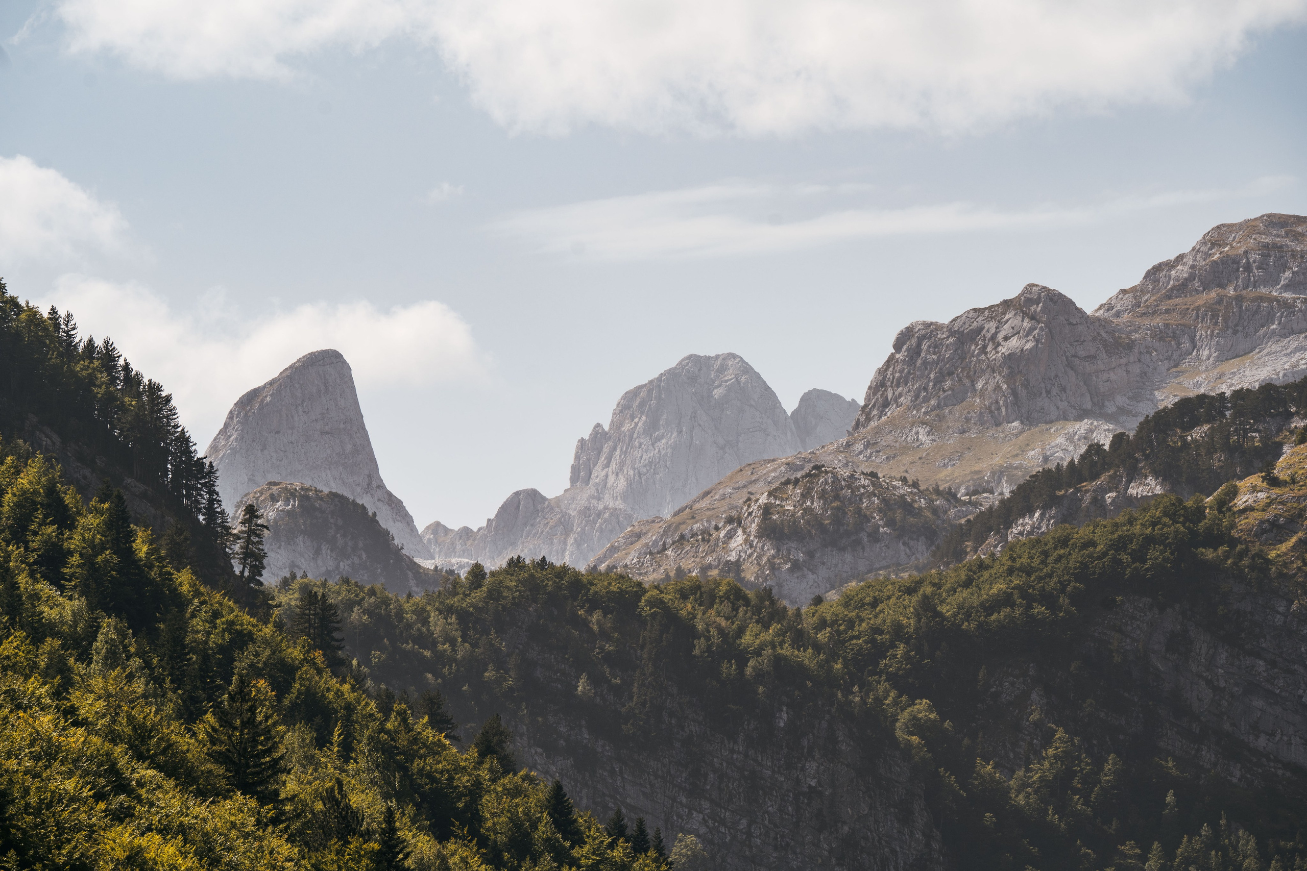 ДОЛИНА РАПОЯНА. ЧЕРНОГОРИЯ. Фотограф в Белграде Чугреева Елена